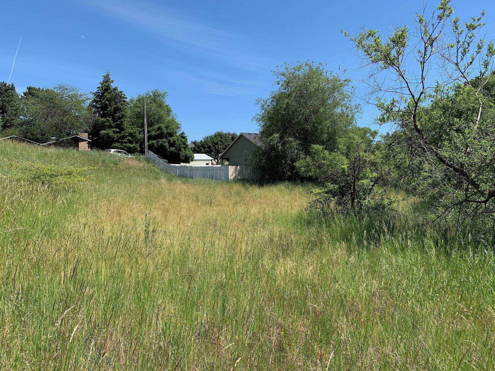 N Willow Dr - Photo 6