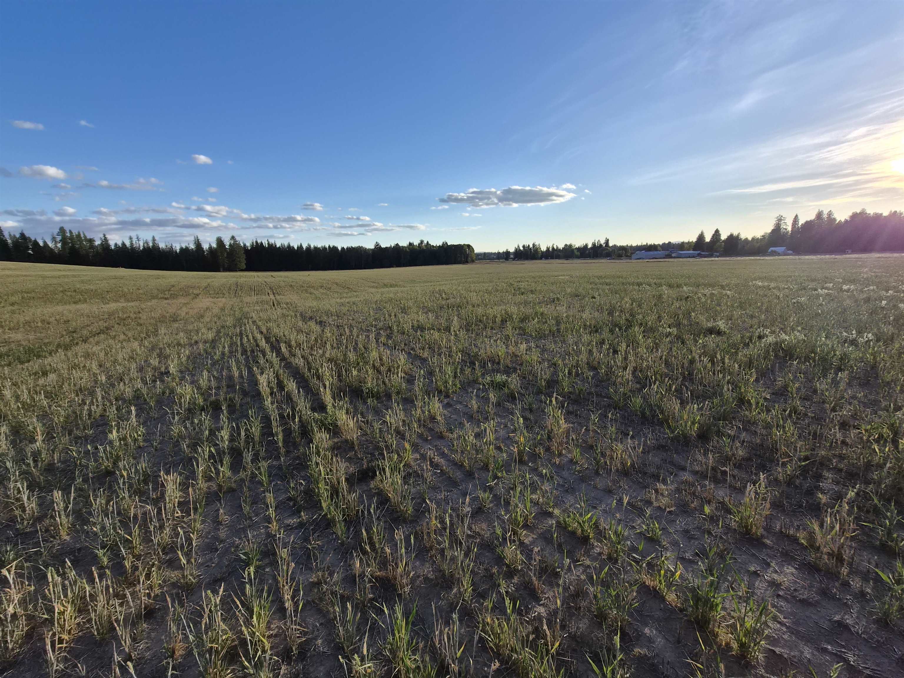 NKN Allen Rd - Photo 1