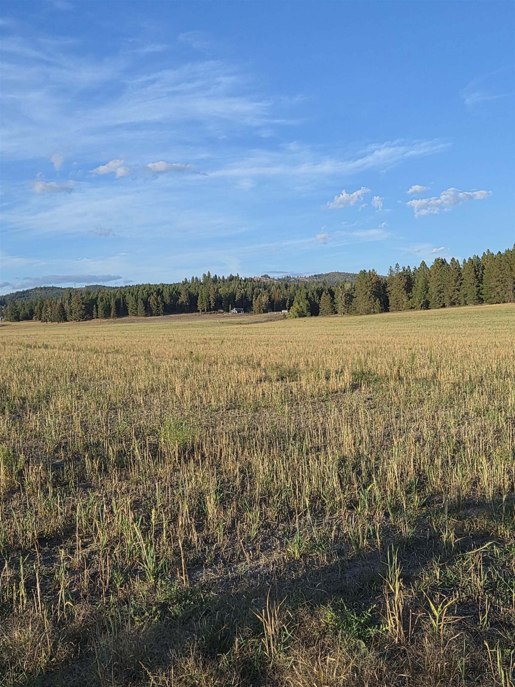 NKN Allen Rd - Photo 2