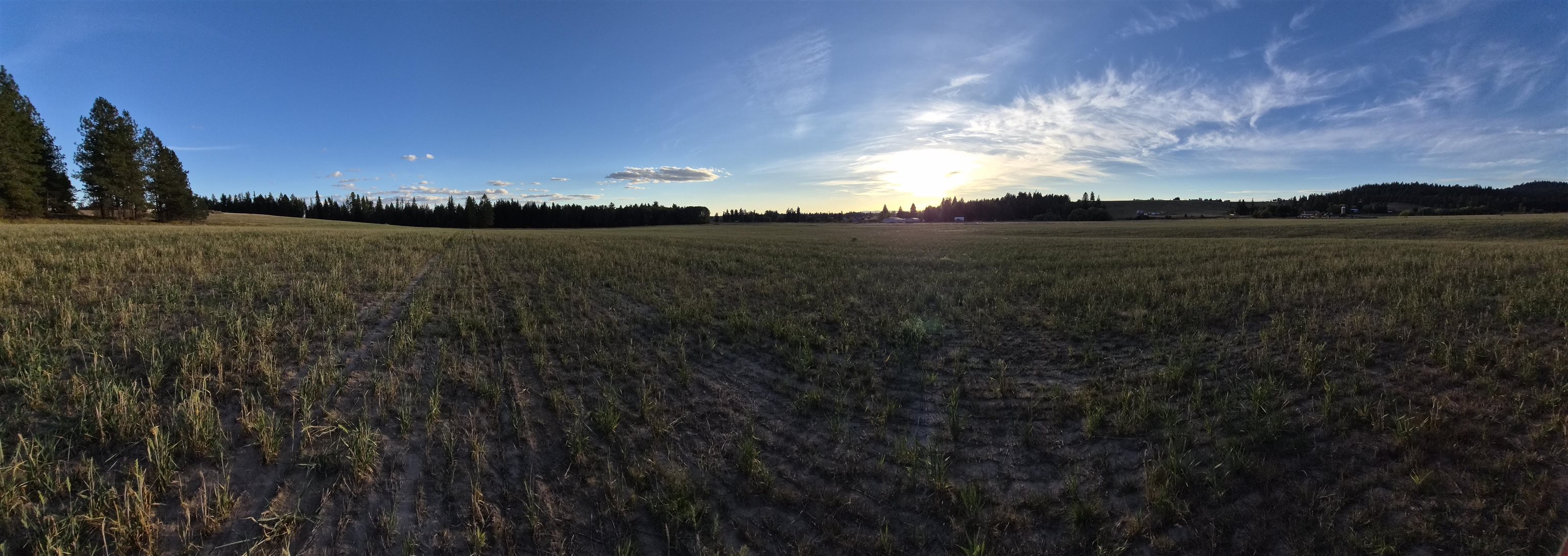 NKN Allen Rd - Photo 3