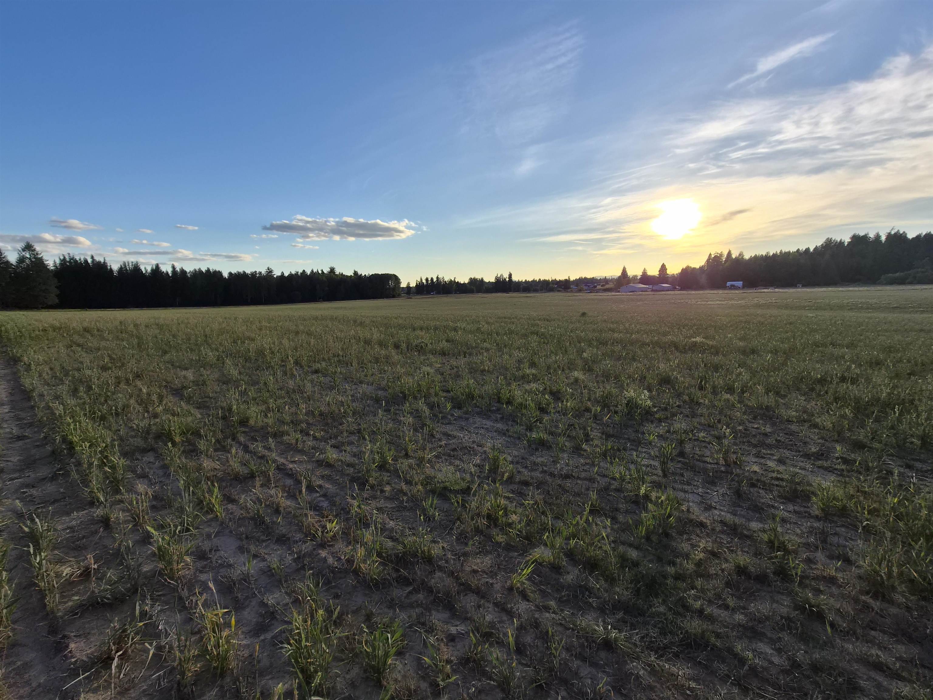 NKN Allen Rd - Photo 5