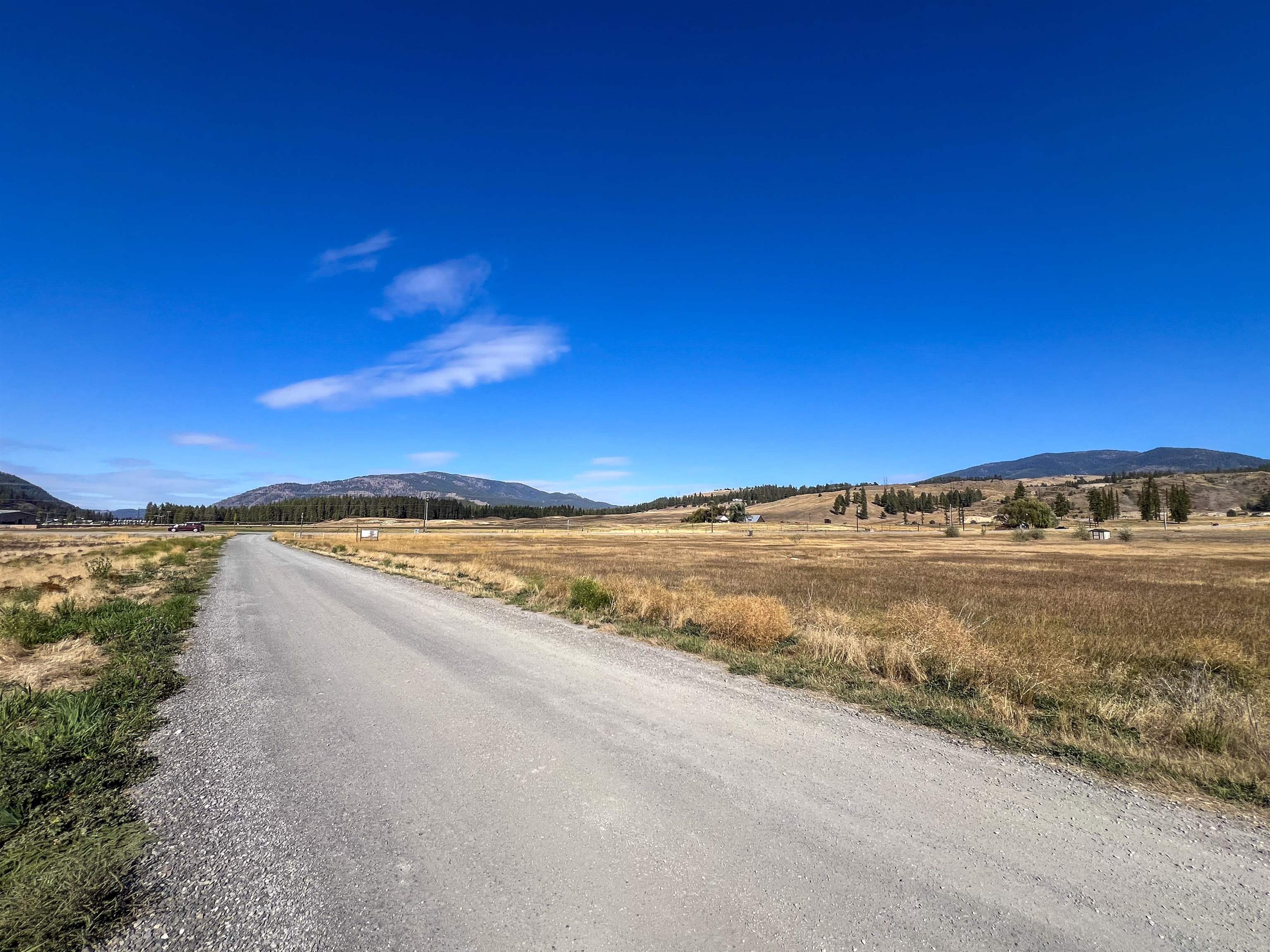 170-TBD E 20 Hwy - Photo 2