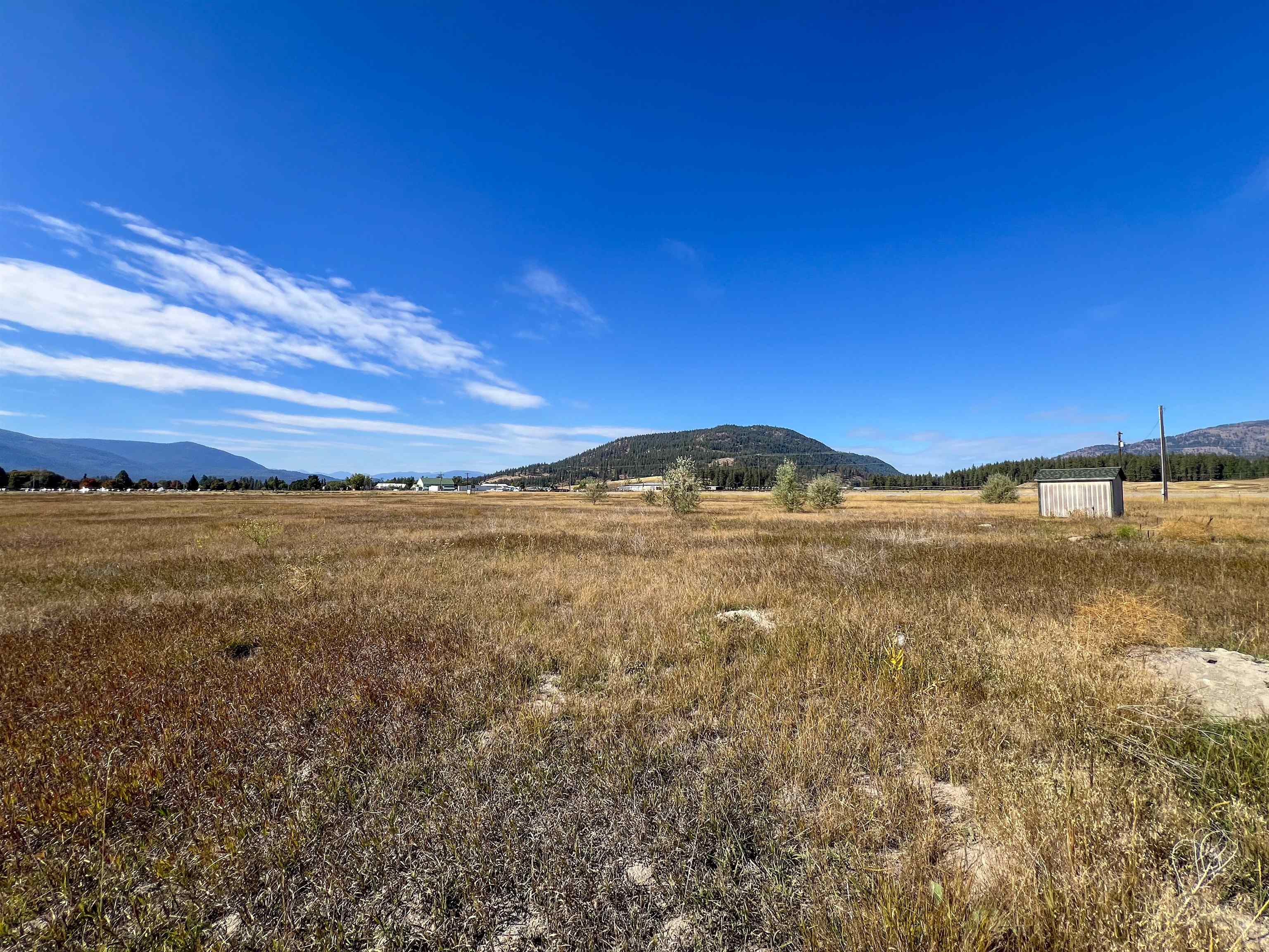 170-TBD E 20 Hwy - Photo 11