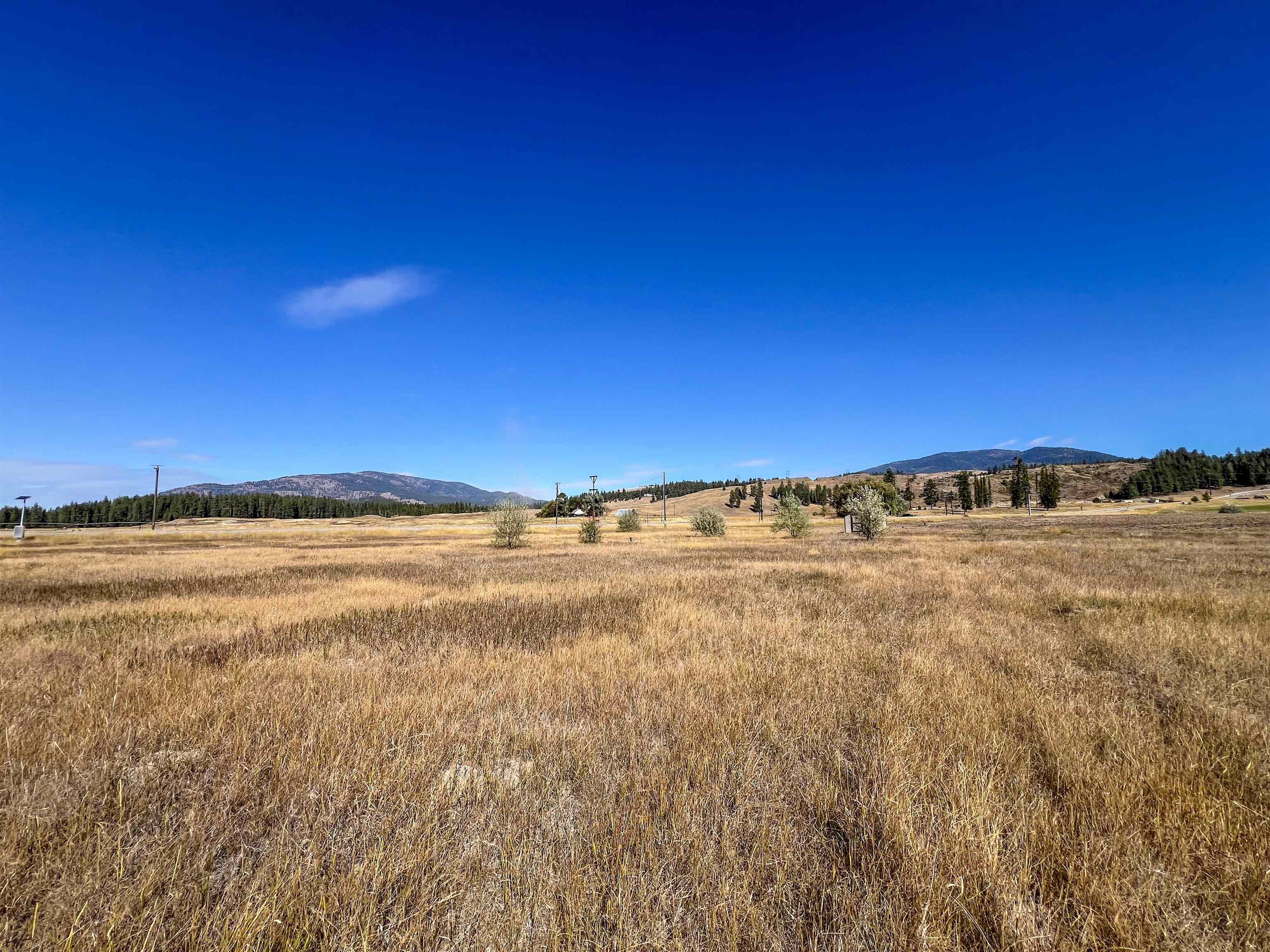170-TBD E 20 Hwy - Photo 13