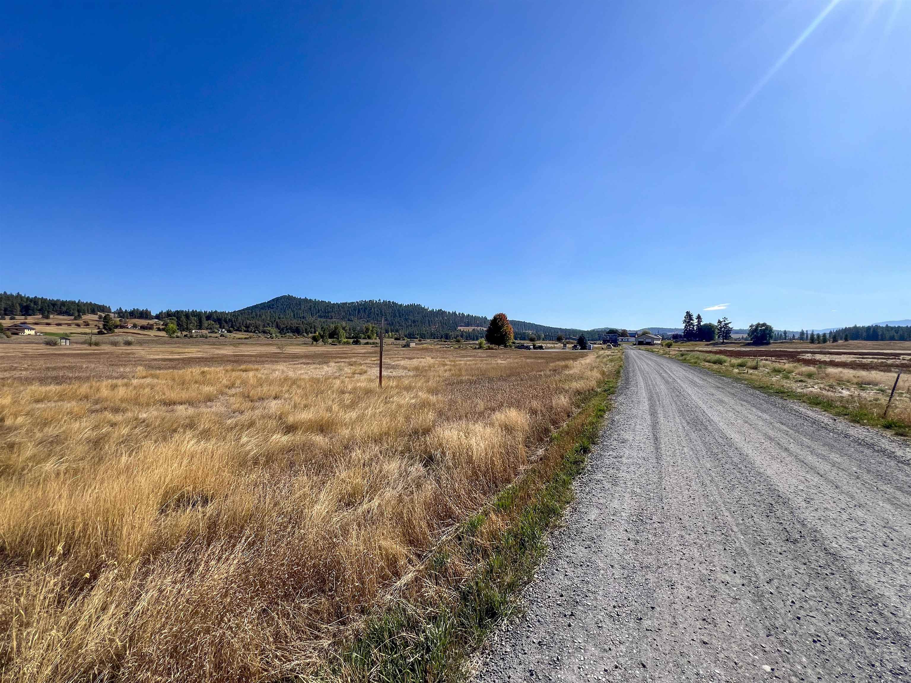 170-TBD E 20 Hwy - Photo 5