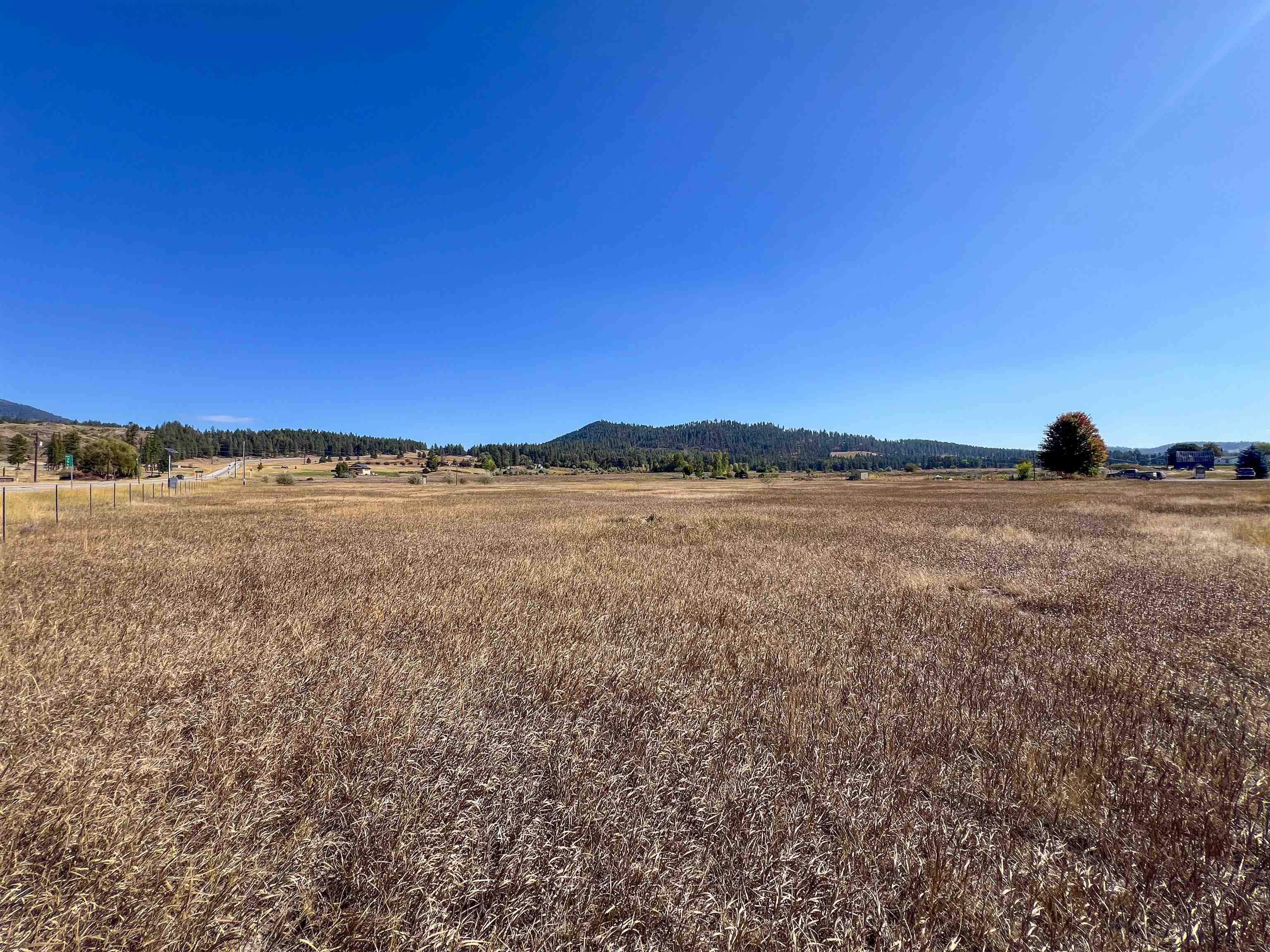 170-TBD E 20 Hwy - Photo 6