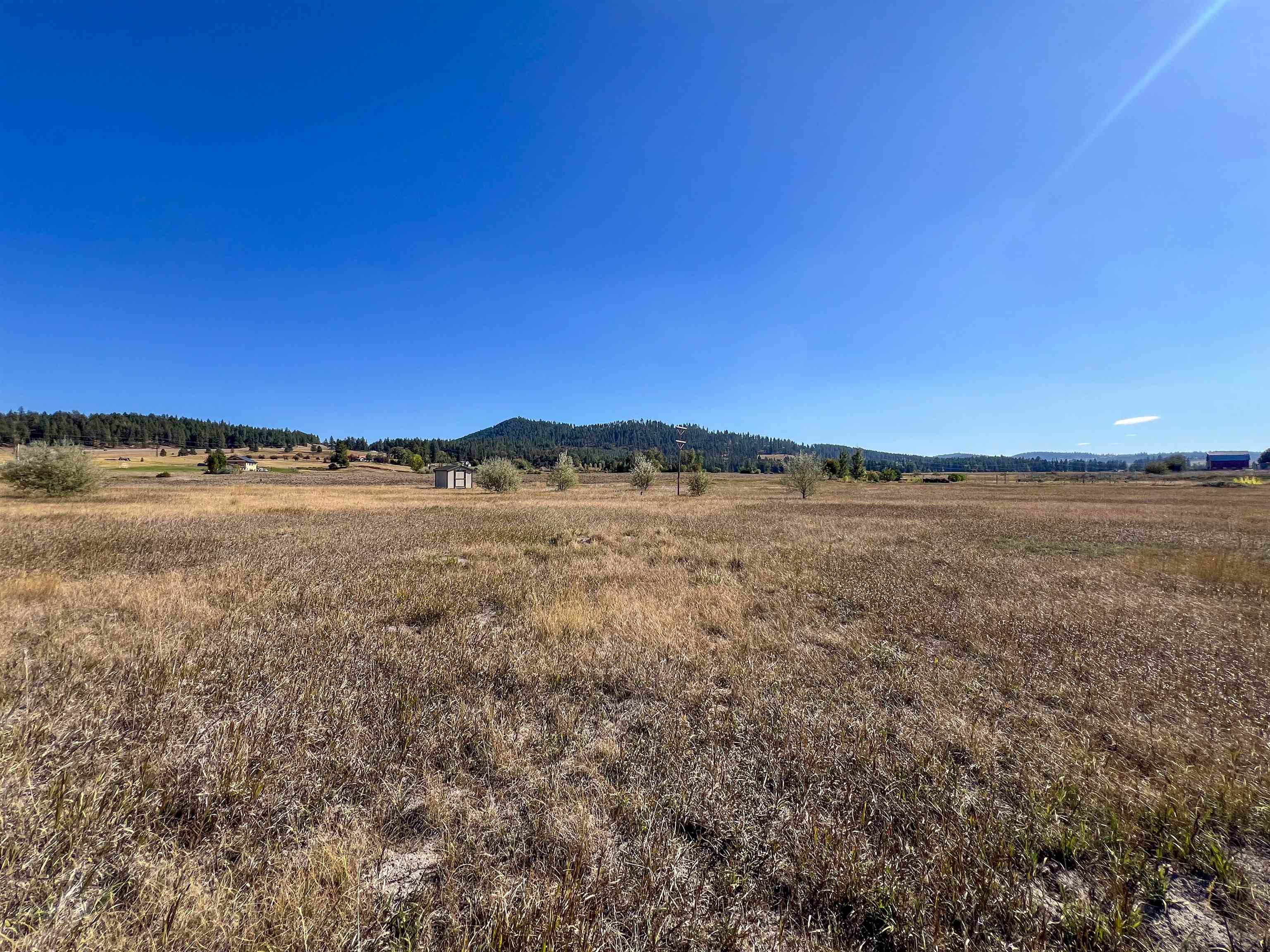 170-TBD E 20 Hwy - Photo 7