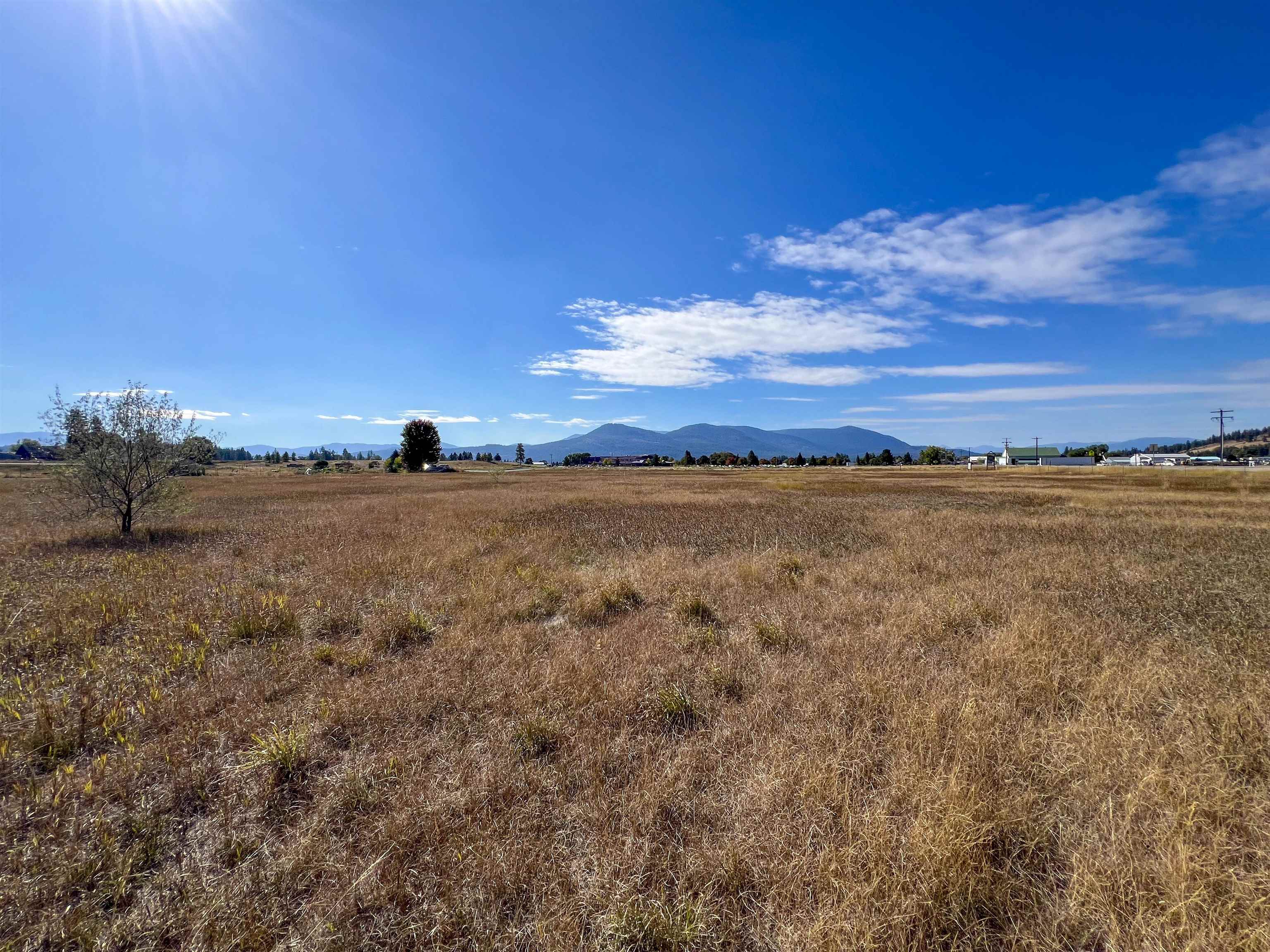 170-TBD E 20 Hwy - Photo 9