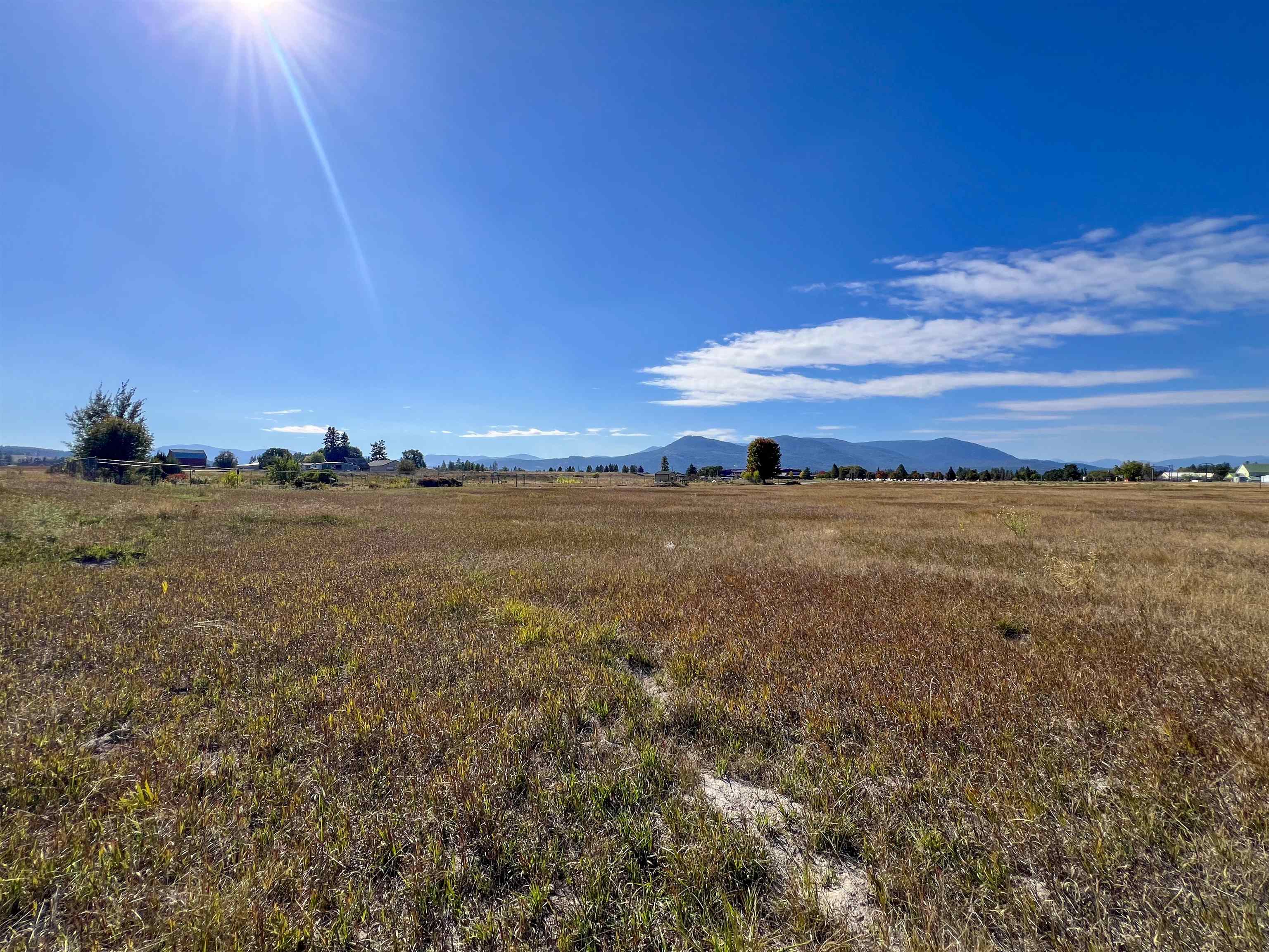 170-TBD E 20 Hwy - Photo 10