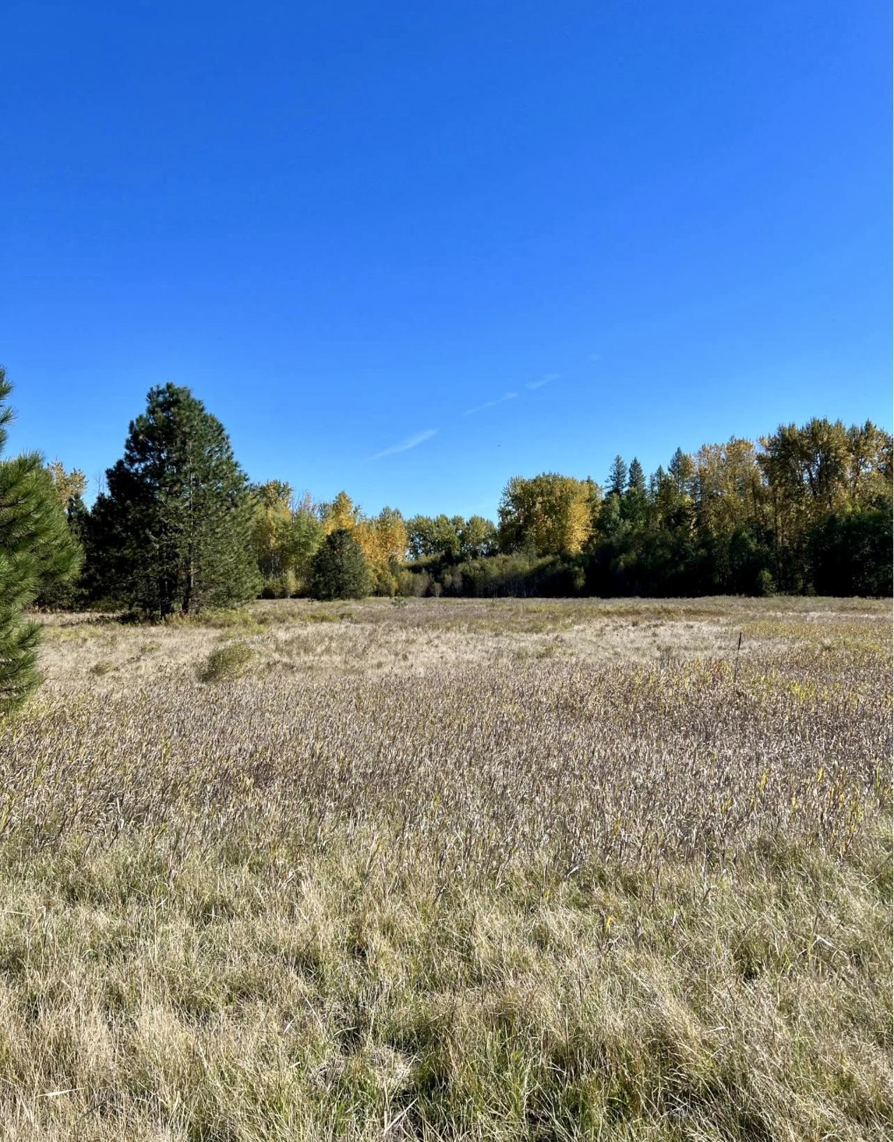 48XX S Swenson Rd - Photo 7
