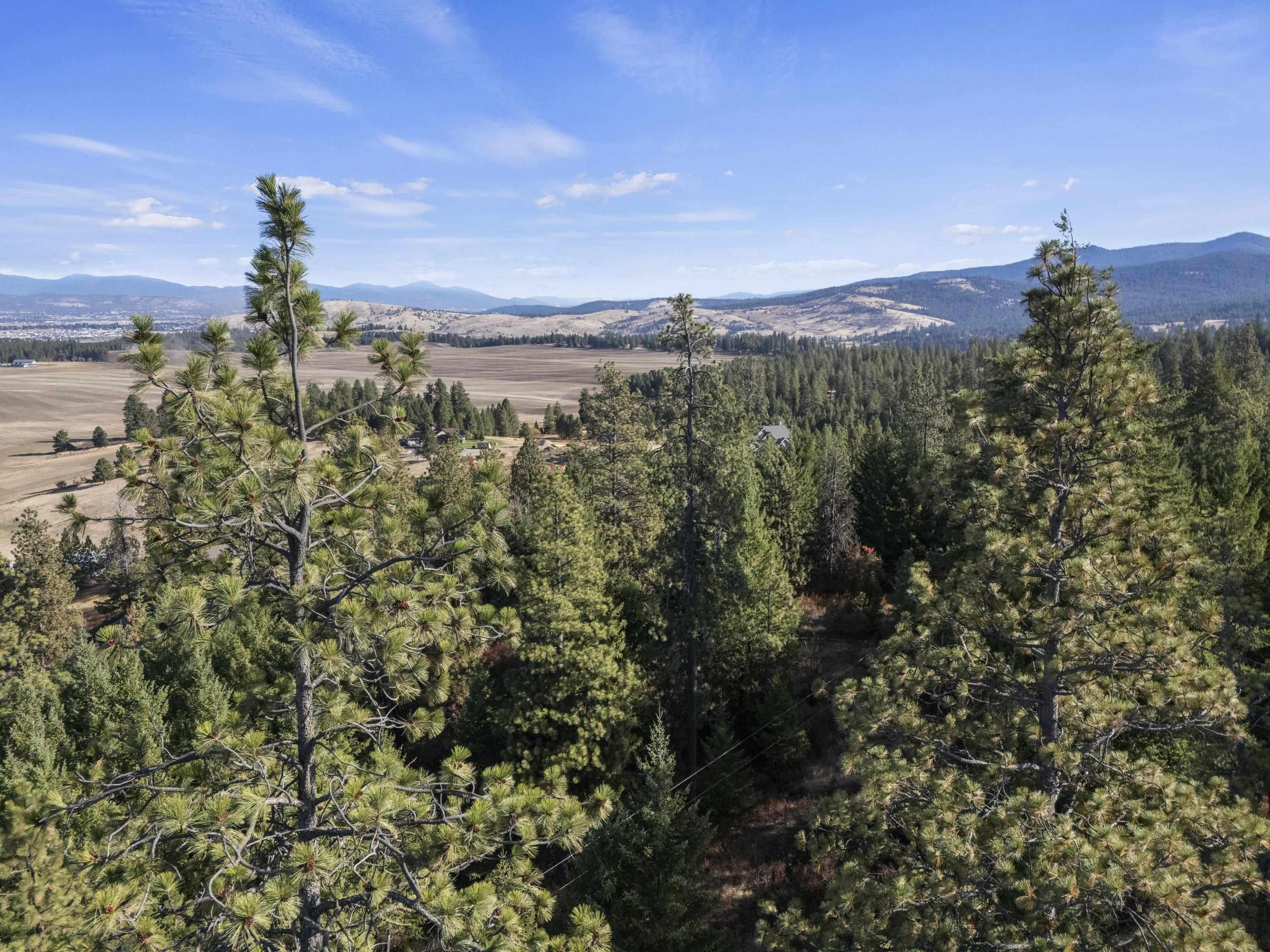 6611 S Saddle Ridge Ln - Photo 22