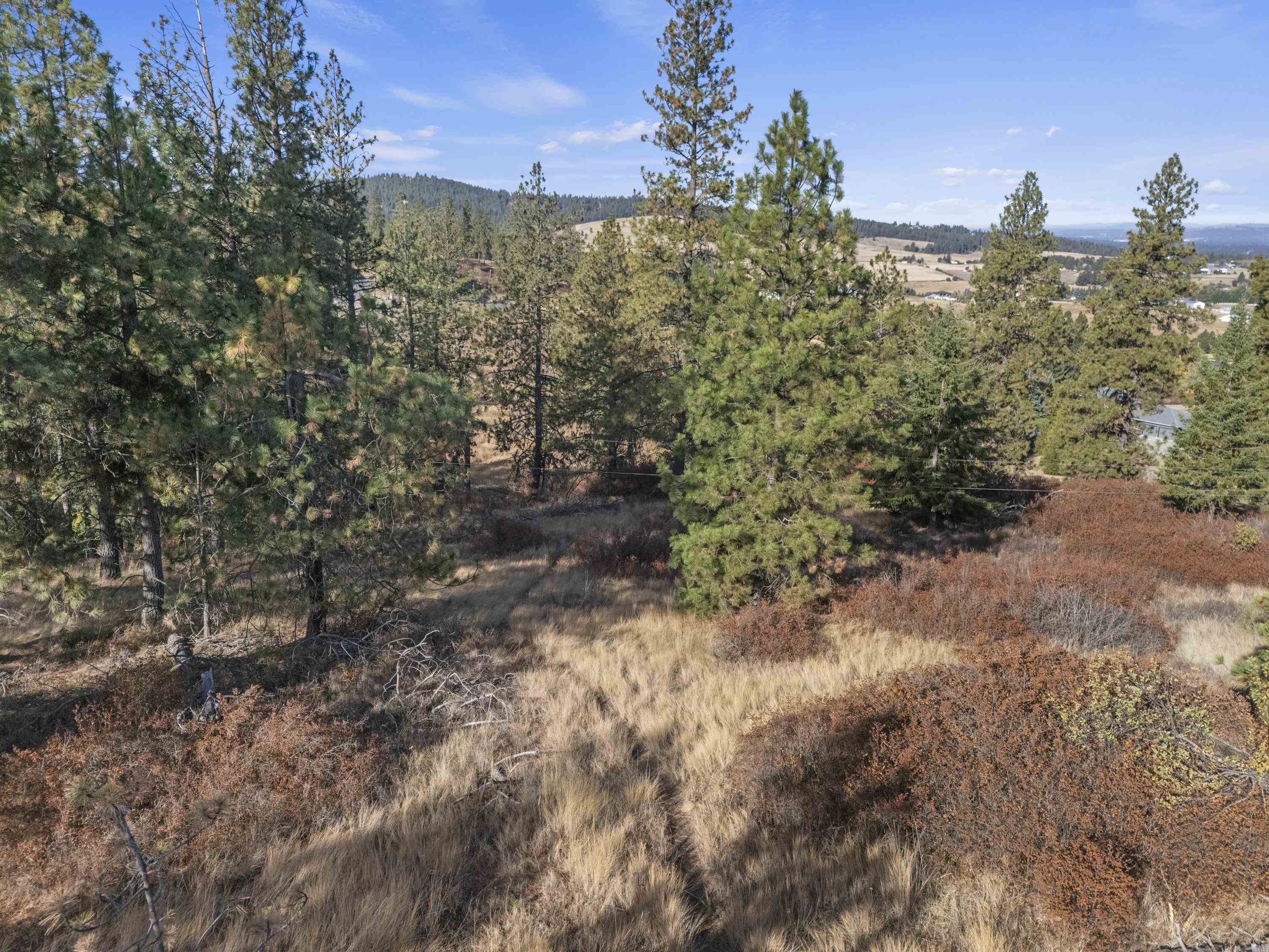 6611 S Saddle Ridge Ln - Photo 24