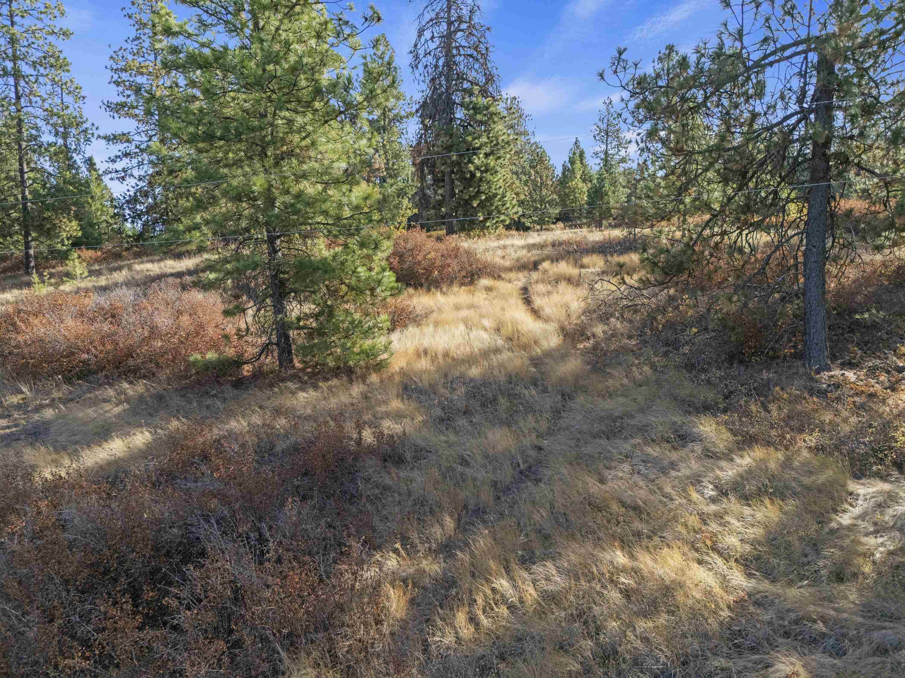 6611 S Saddle Ridge Ln - Photo 25