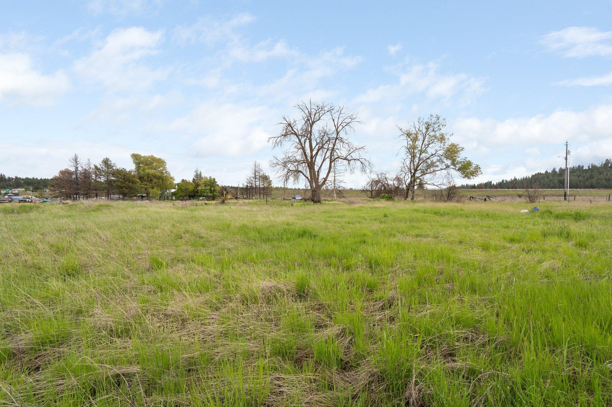13808 W Taylor Rd - Photo 4