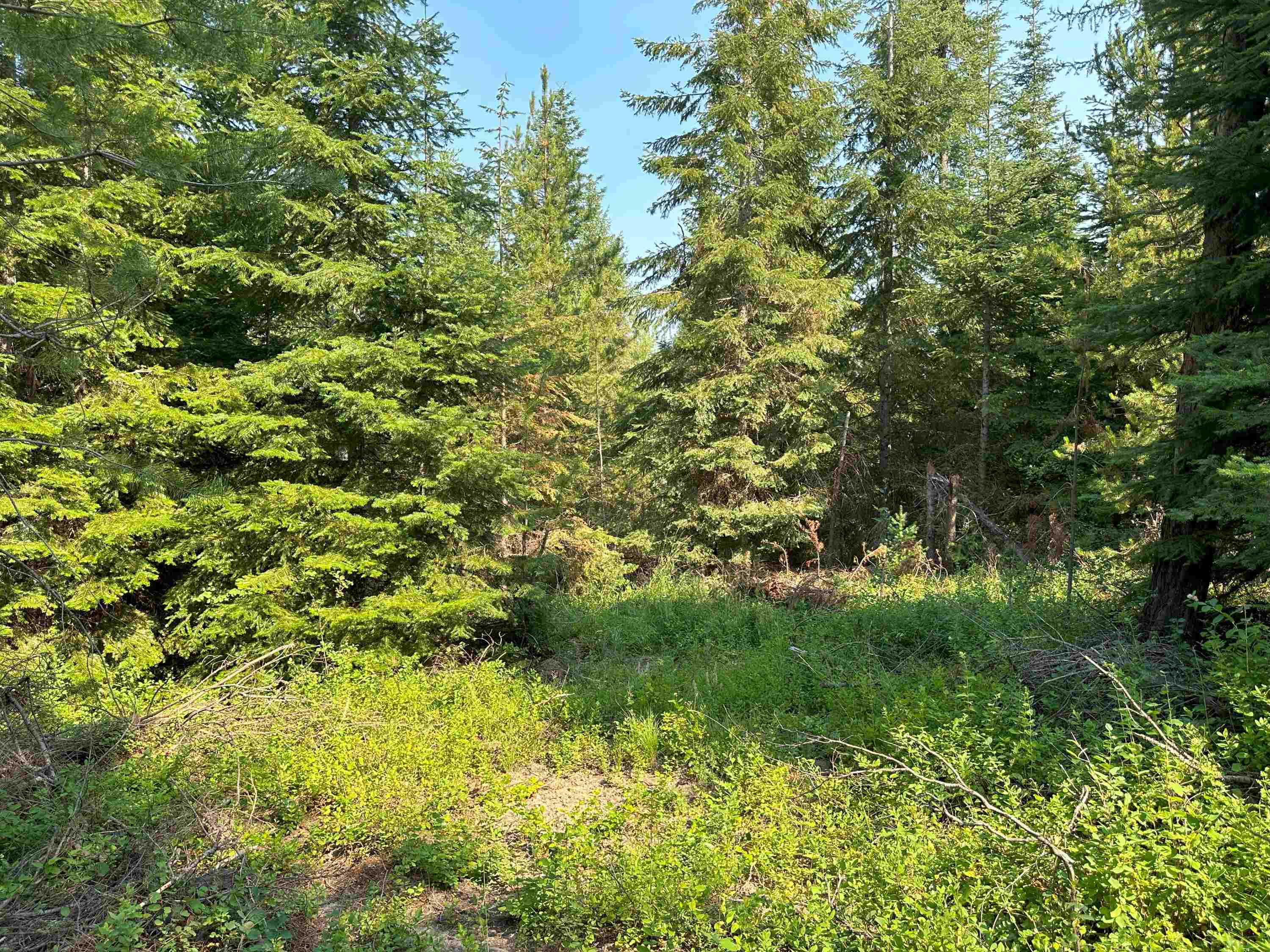 7398 Cottonwood Rd - Photo 1