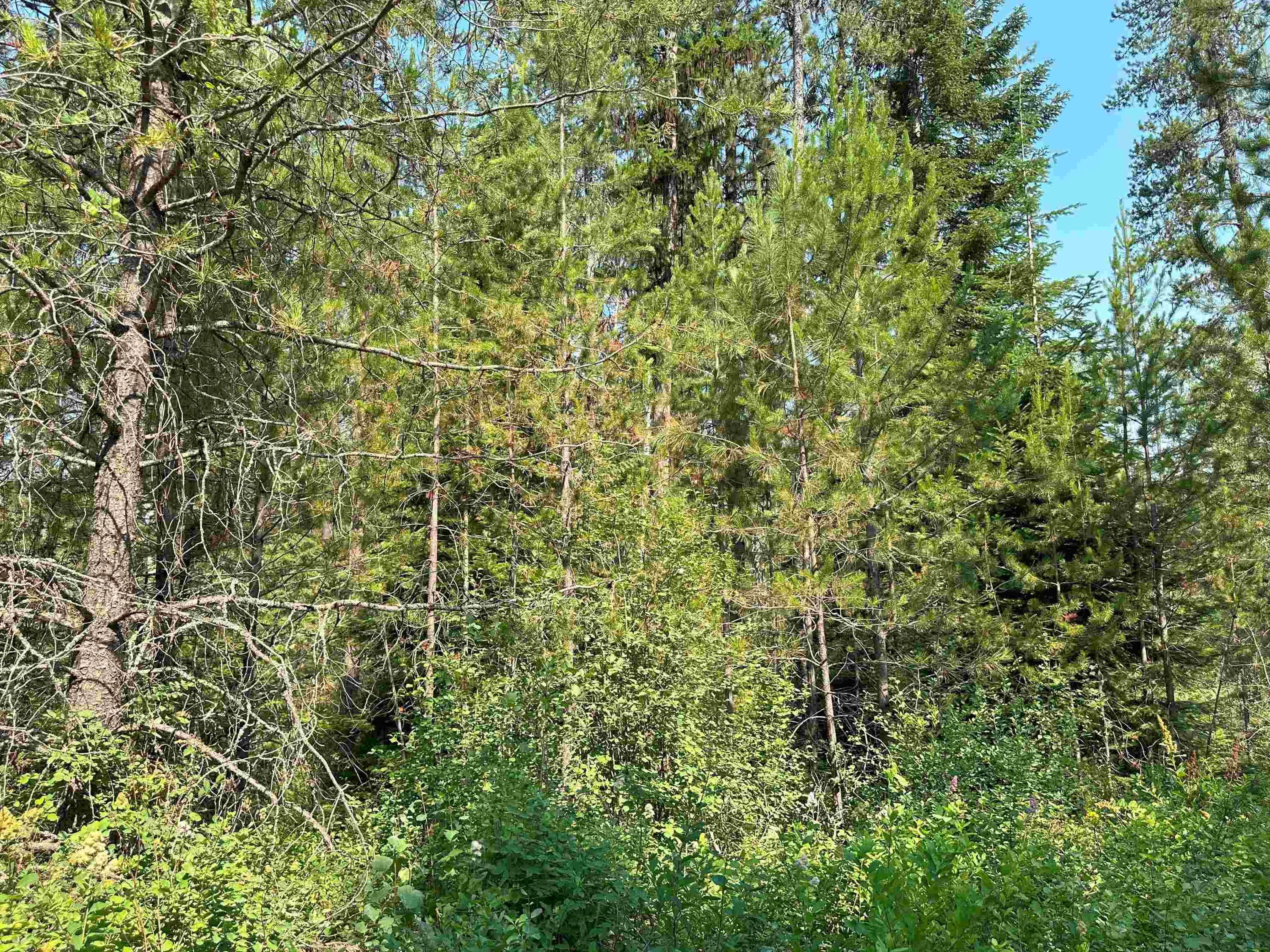 7398 Cottonwood Rd - Photo 2