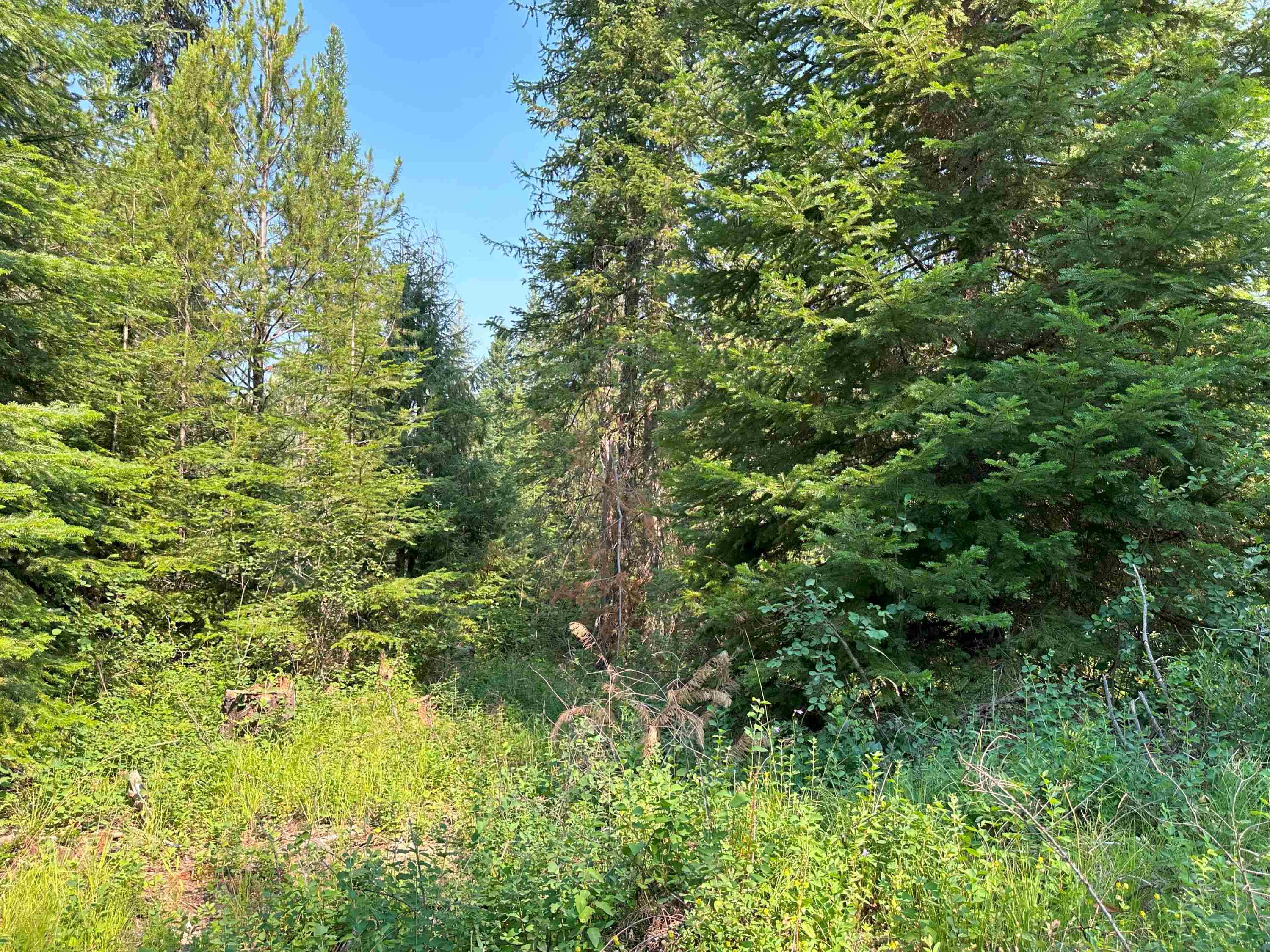 7398 Cottonwood Rd - Photo 12