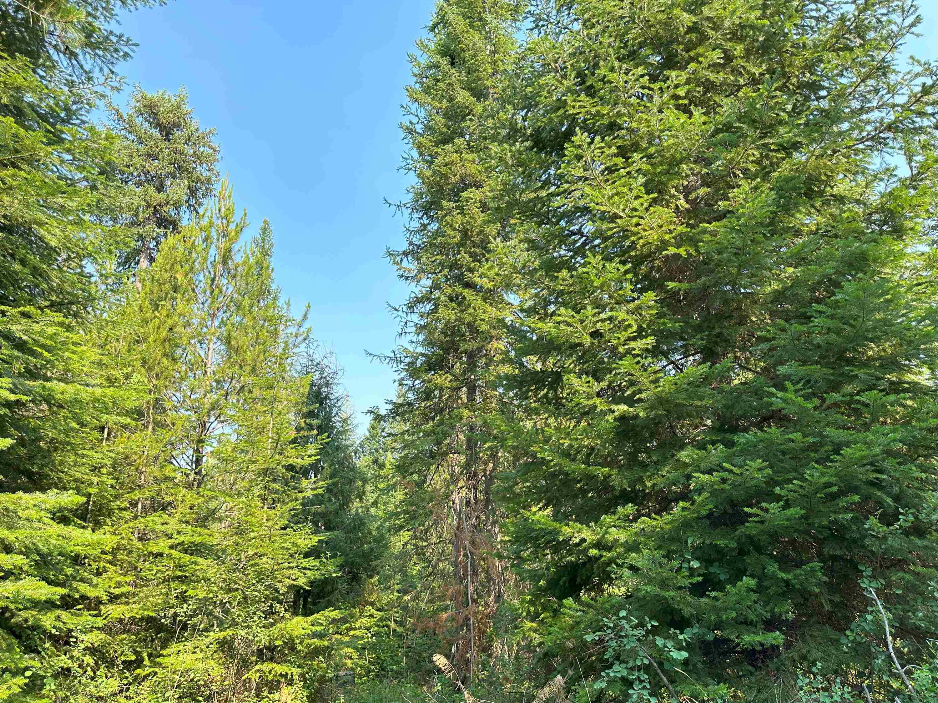 7398 Cottonwood Rd - Photo 13