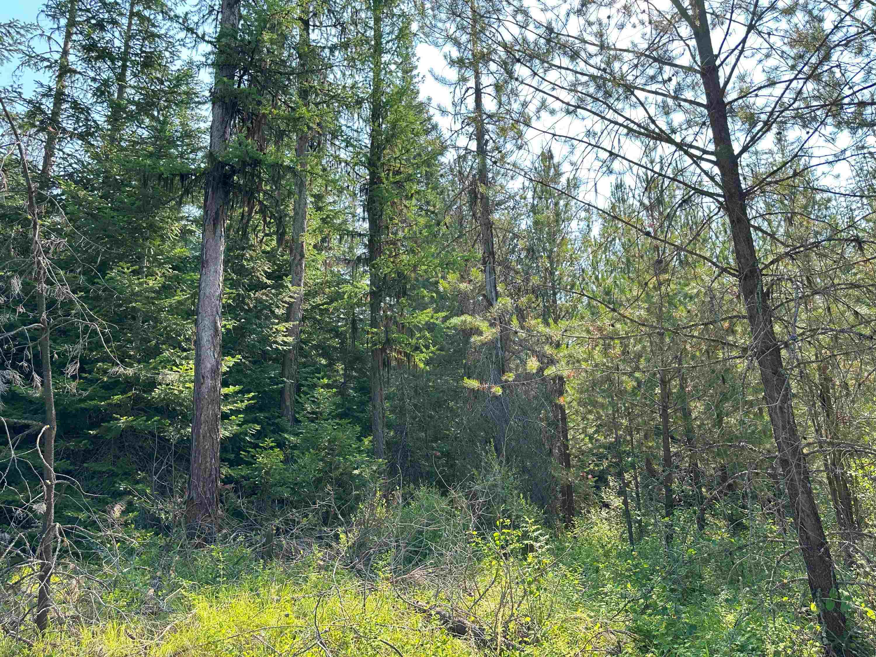 7398 Cottonwood Rd - Photo 14
