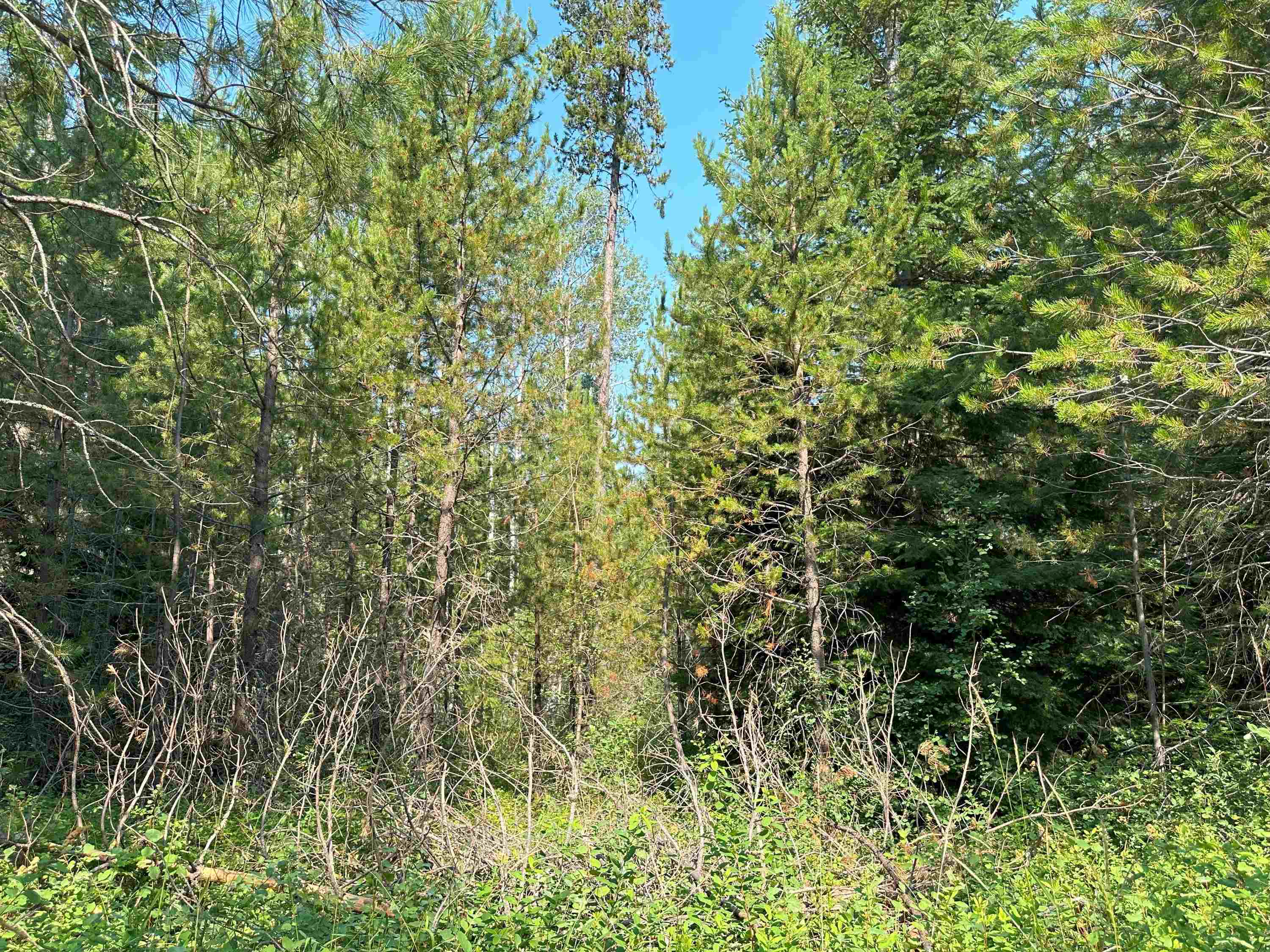 7398 Cottonwood Rd - Photo 15