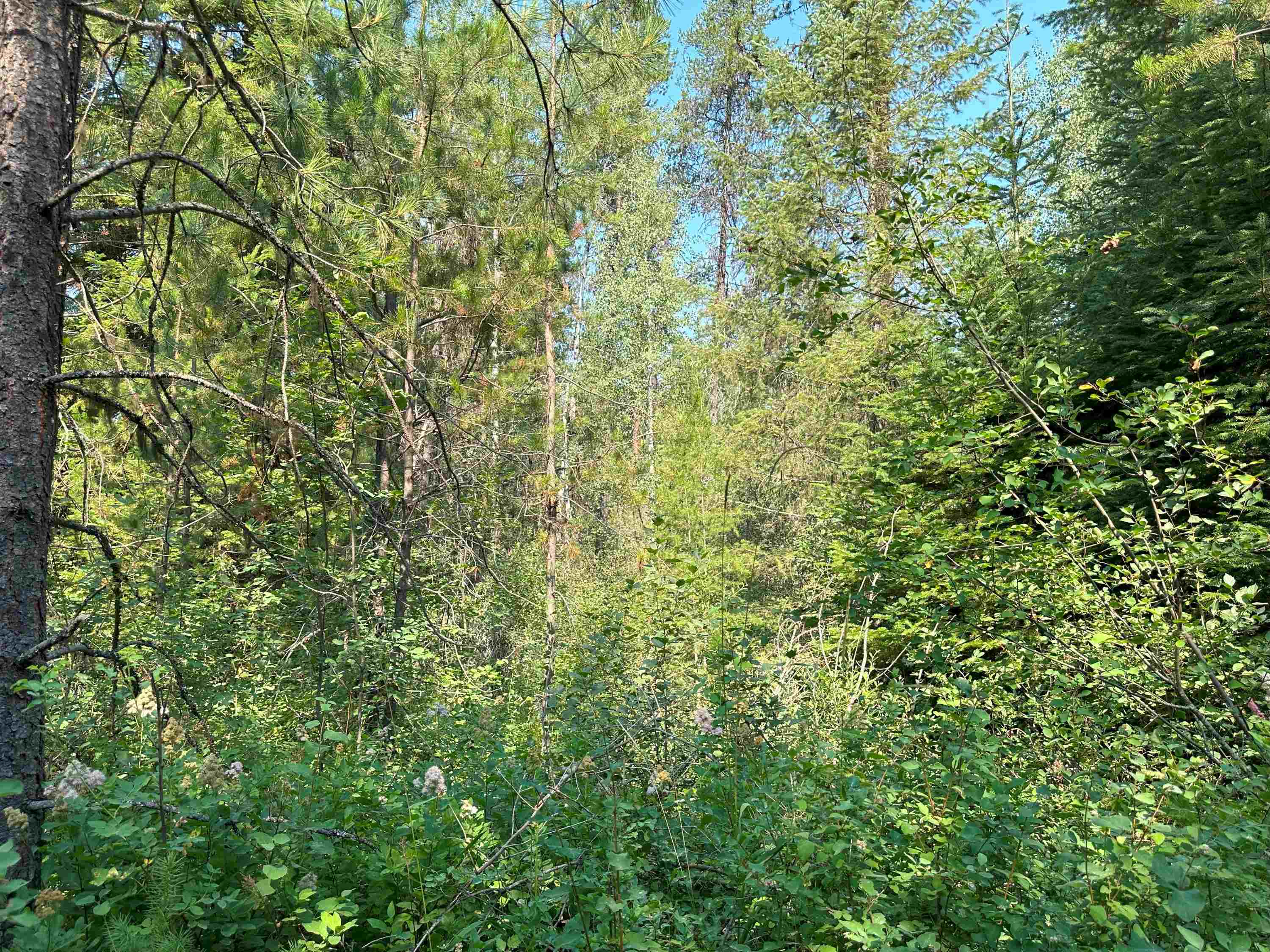 7398 Cottonwood Rd - Photo 16