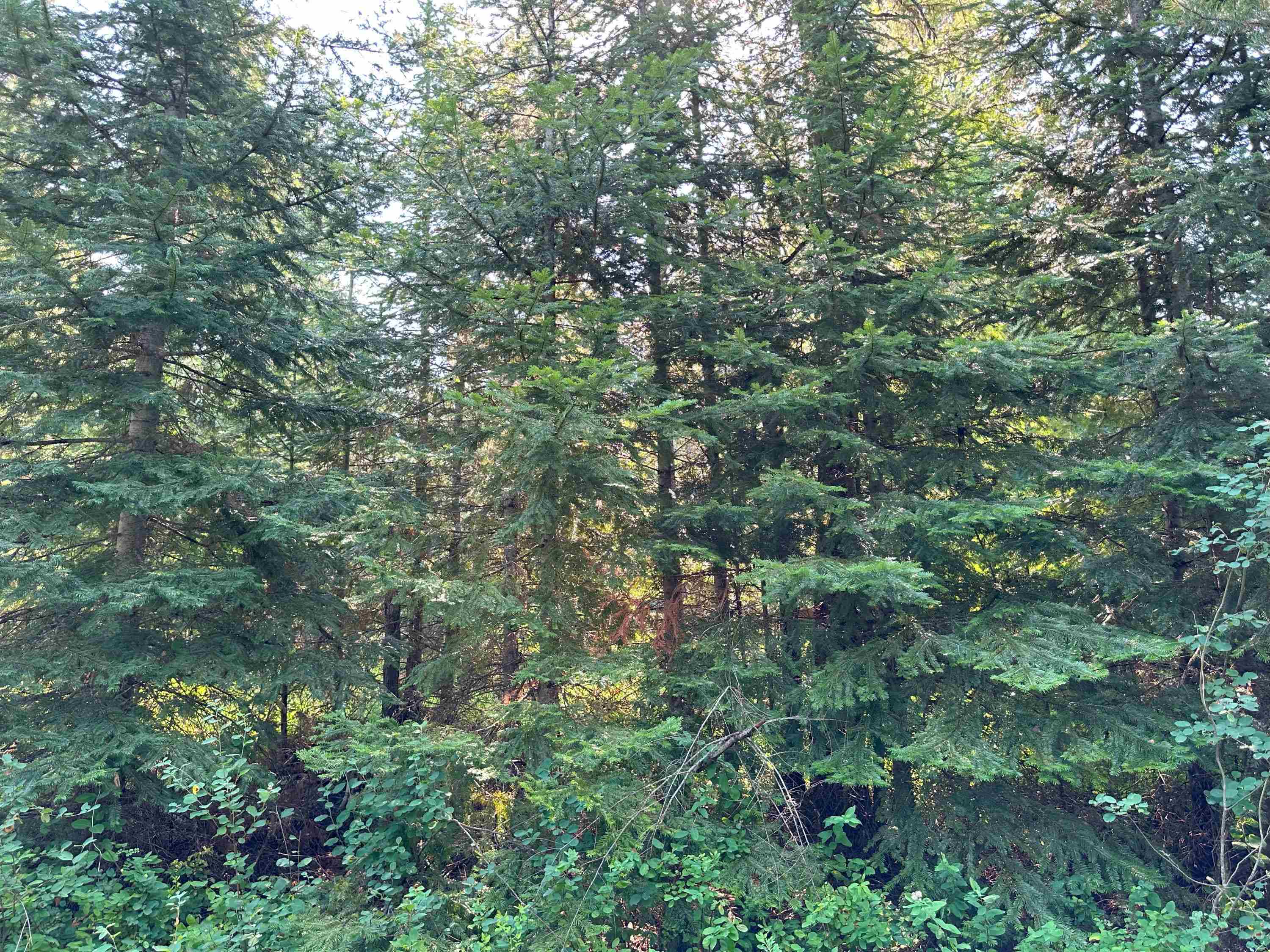 7398 Cottonwood Rd - Photo 3