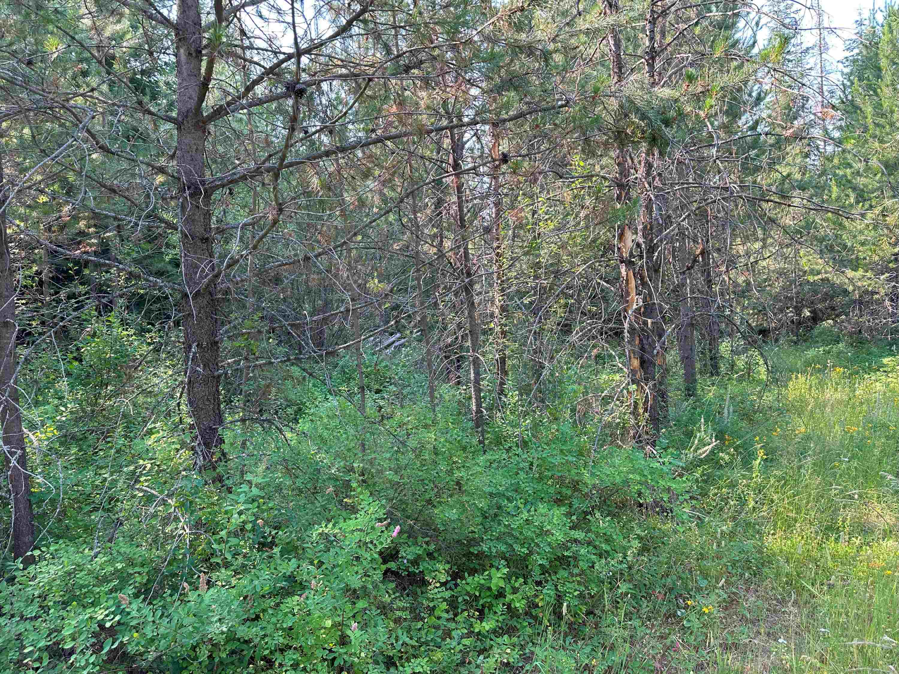 7398 Cottonwood Rd - Photo 4