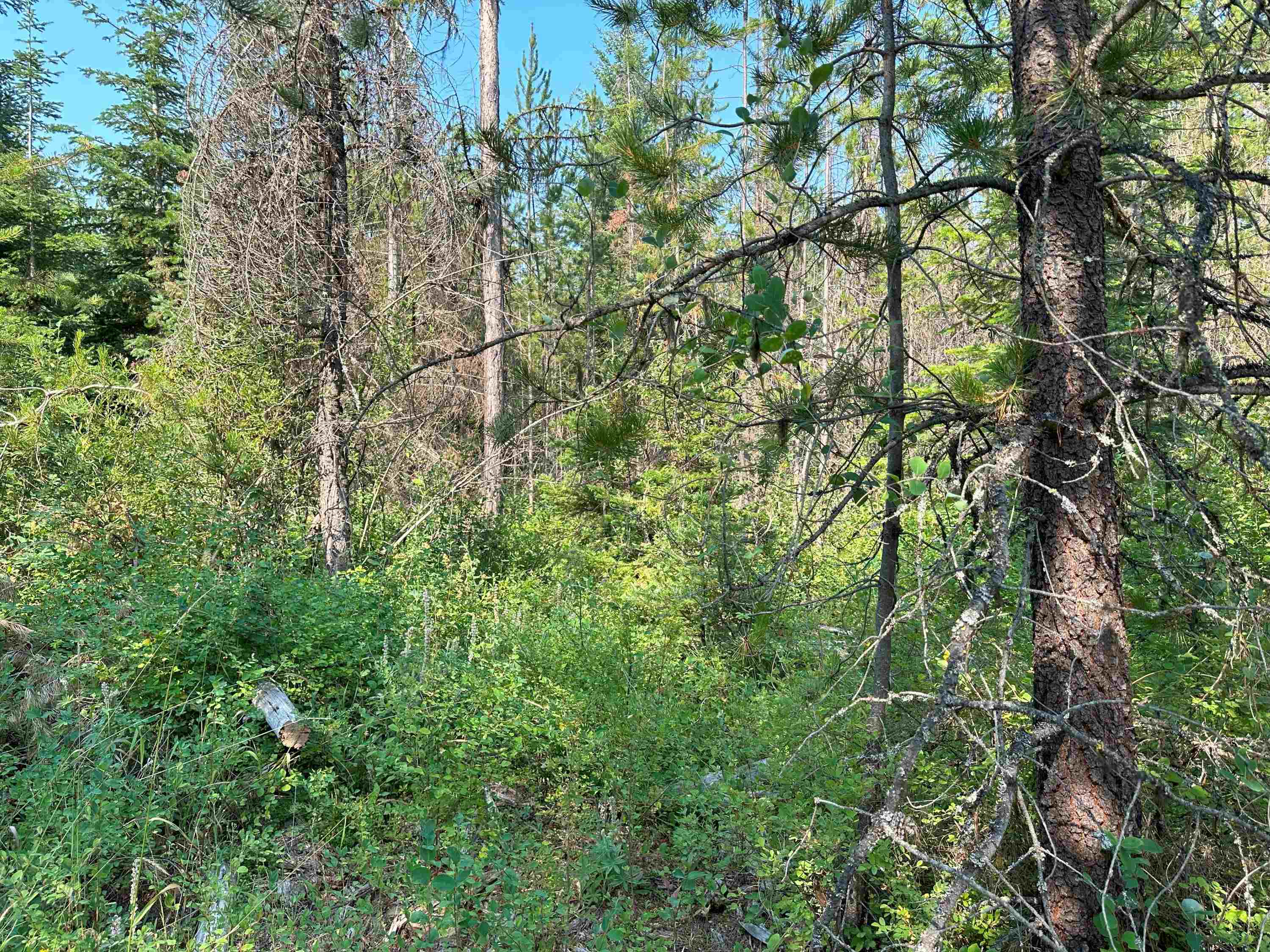 7398 Cottonwood Rd - Photo 5