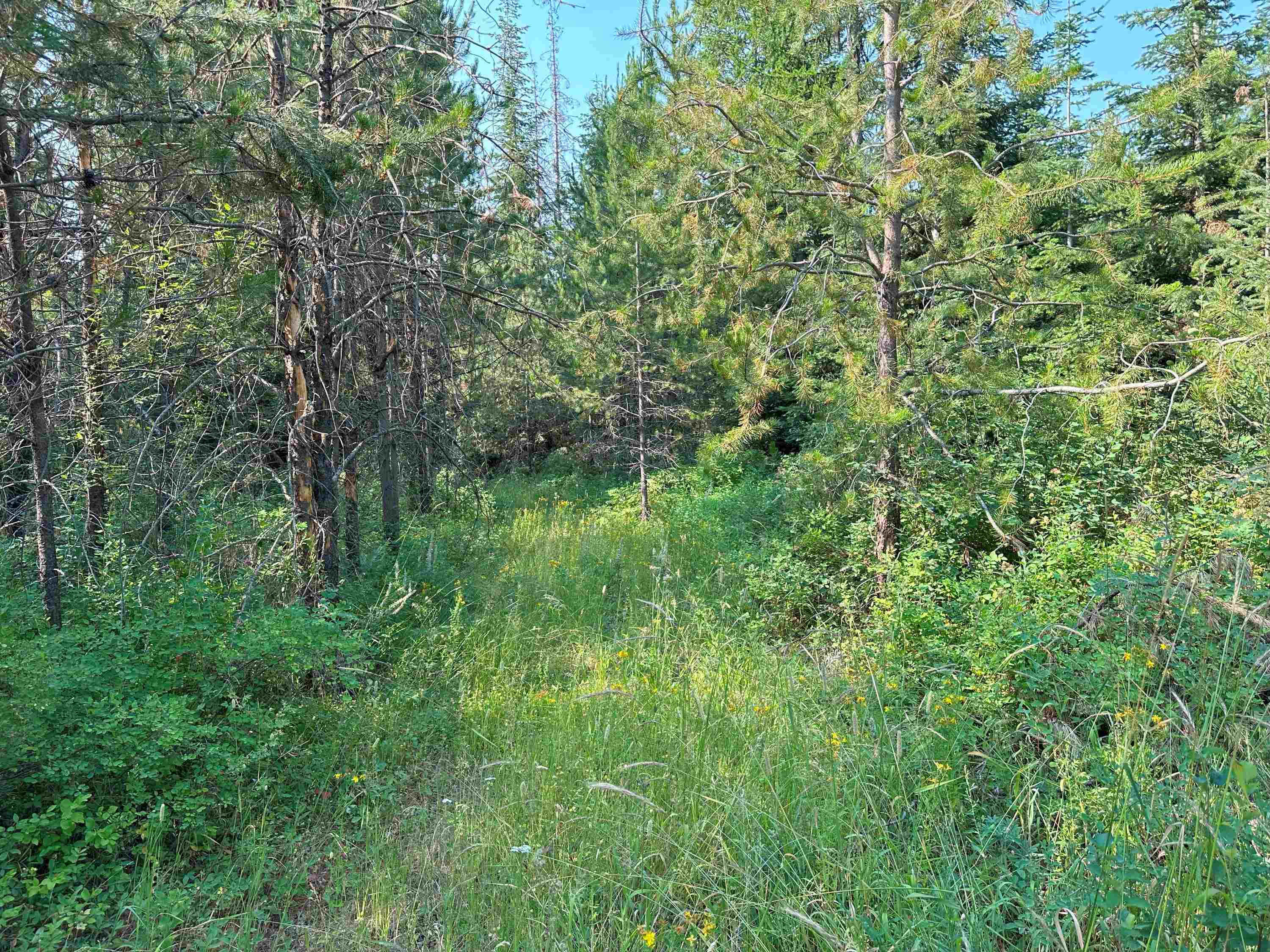 7398 Cottonwood Rd - Photo 6