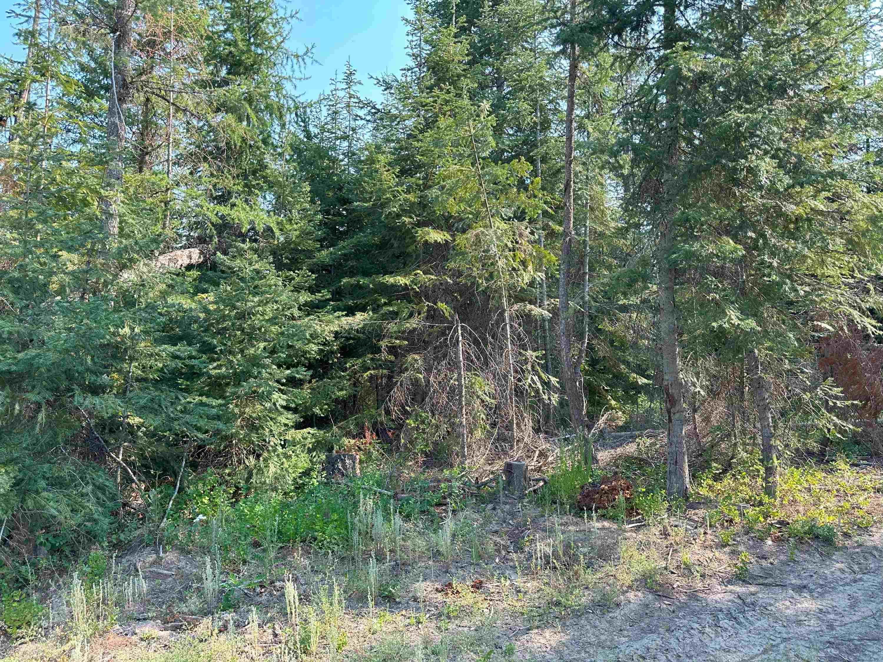 7398 Cottonwood Rd - Photo 8