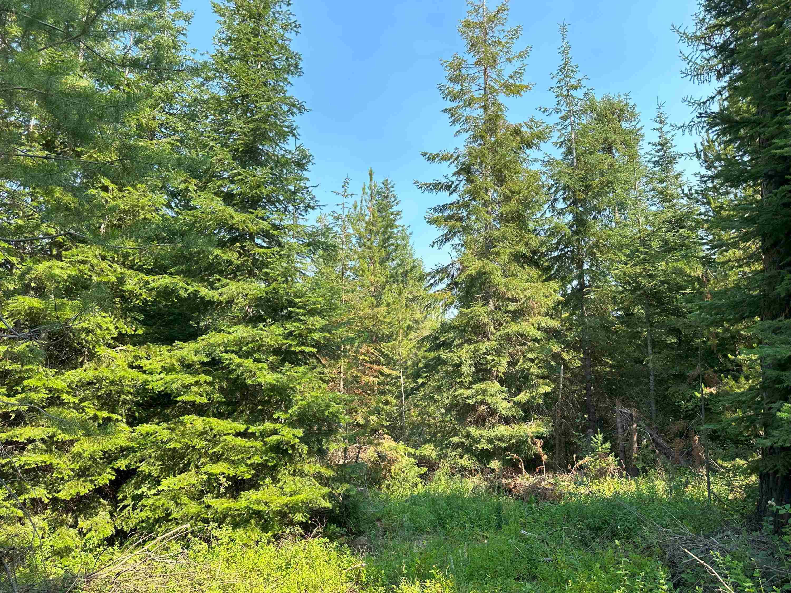 7398 Cottonwood Rd - Photo 10