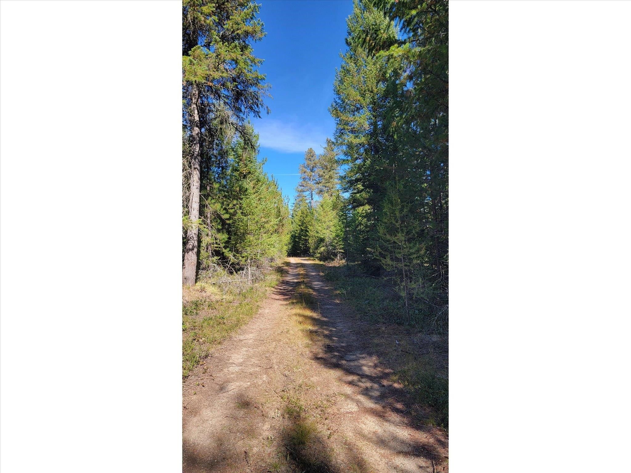 NKN Northshore Diamond Lake Rd - Photo 11