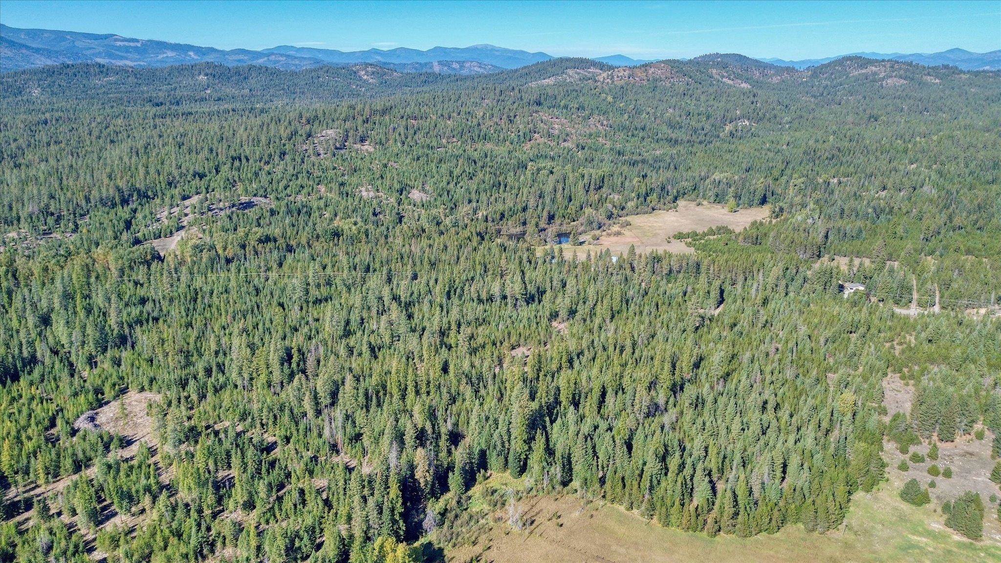 NKN Northshore Diamond Lake Rd - Photo 12