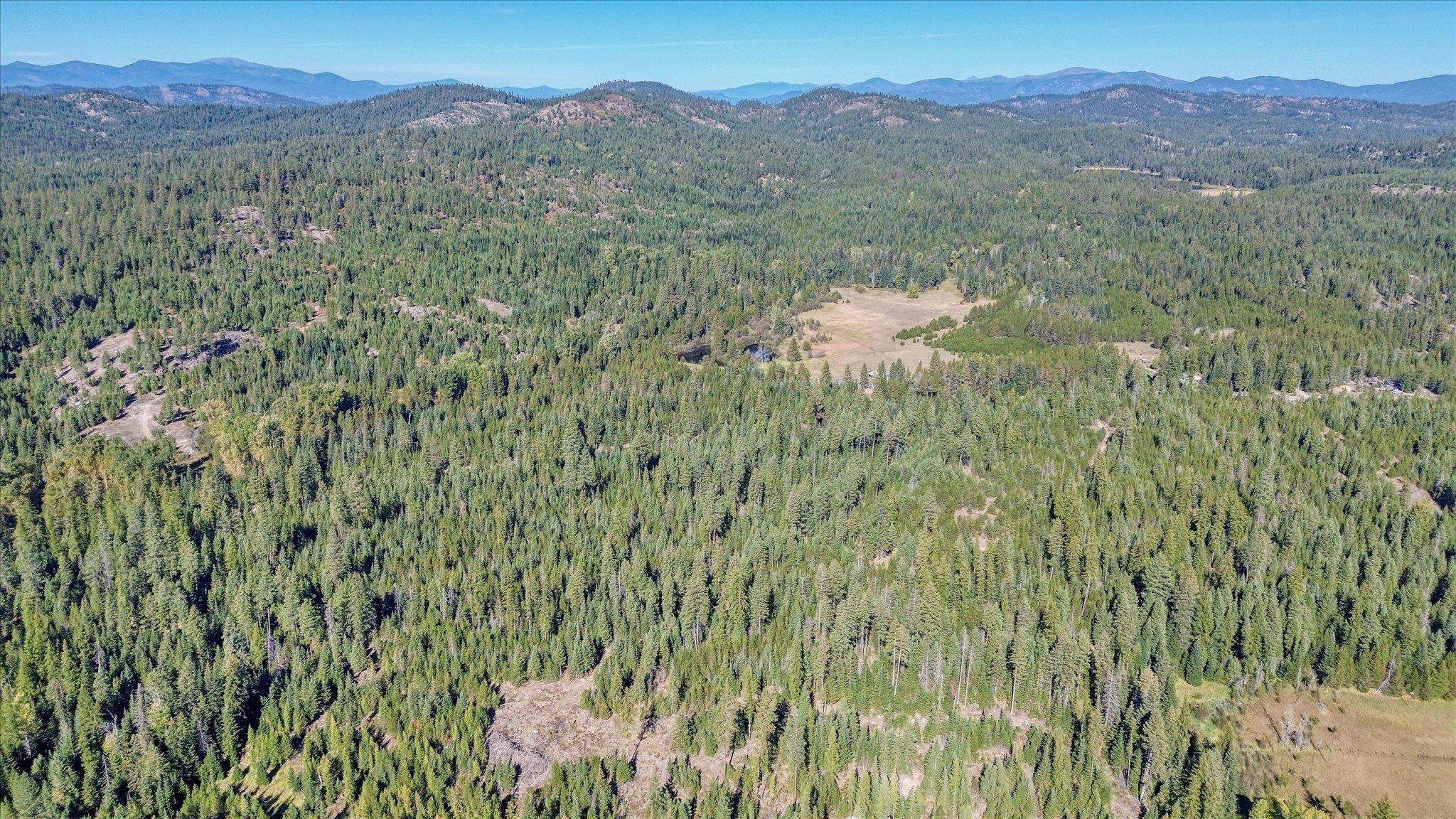 NKN Northshore Diamond Lake Rd - Photo 13