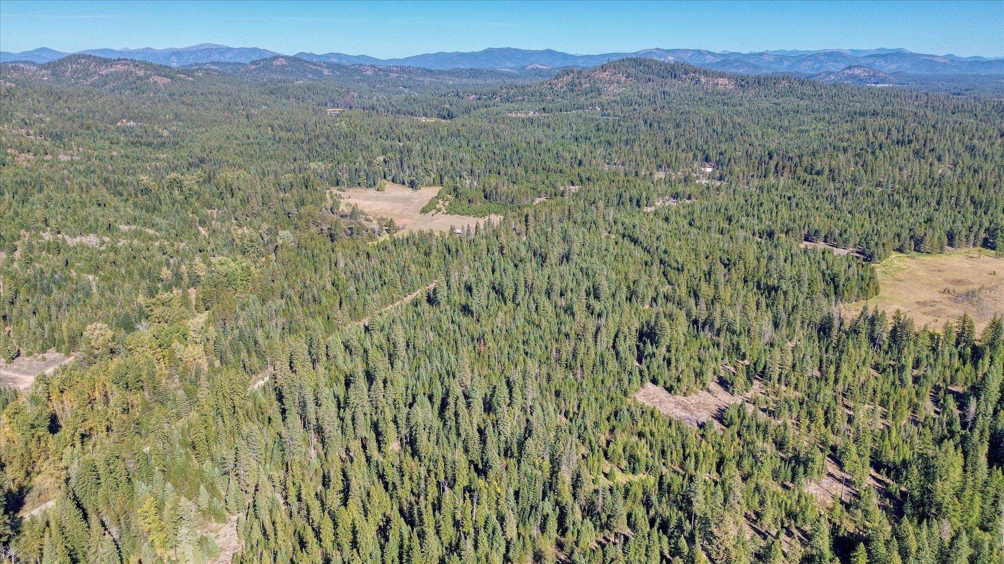 NKN Northshore Diamond Lake Rd - Photo 14