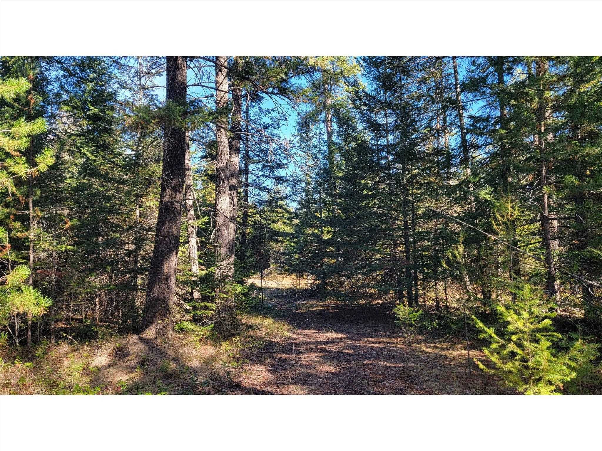 NKN Northshore Diamond Lake Rd - Photo 15