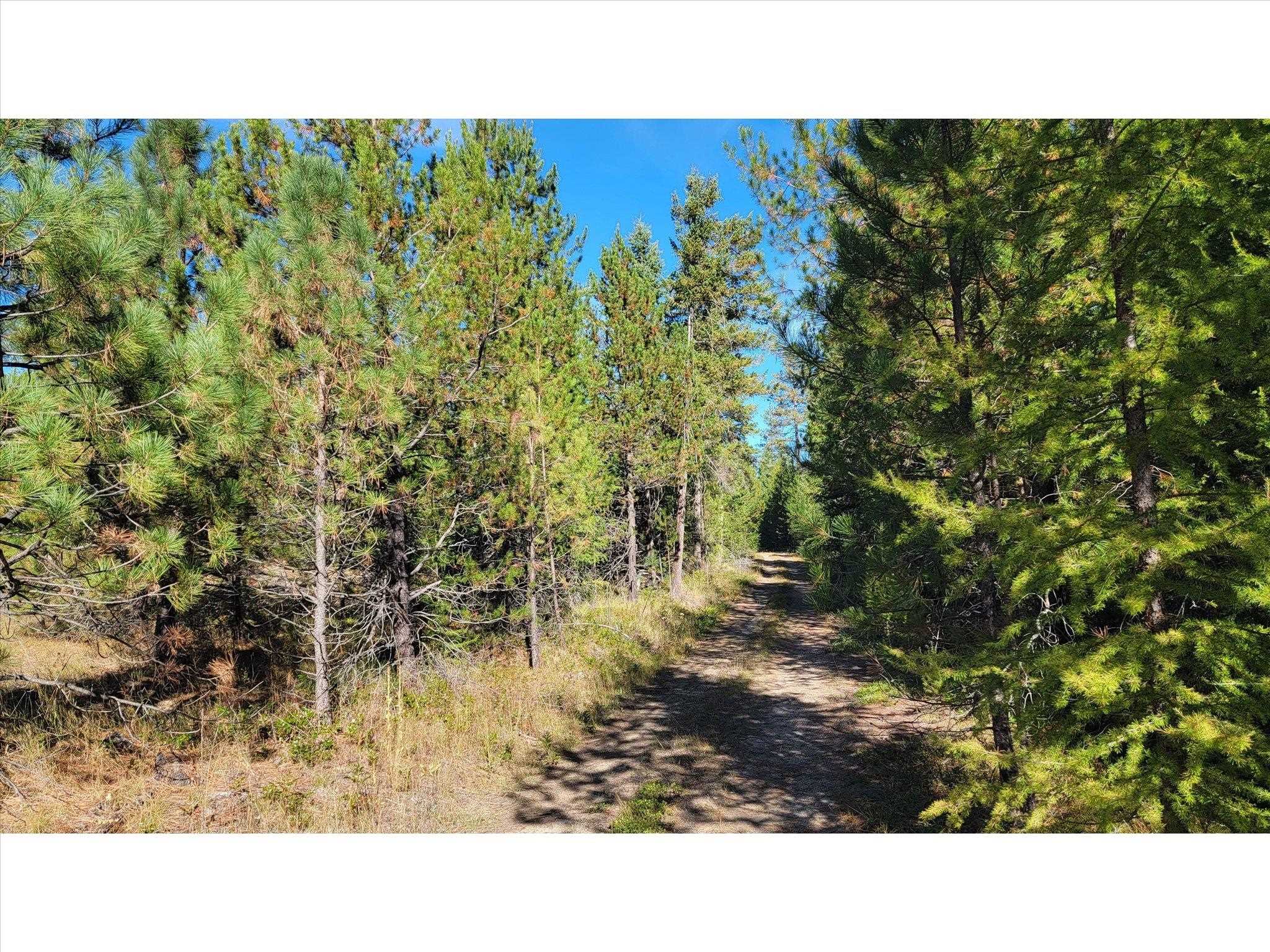 NKN Northshore Diamond Lake Rd - Photo 16