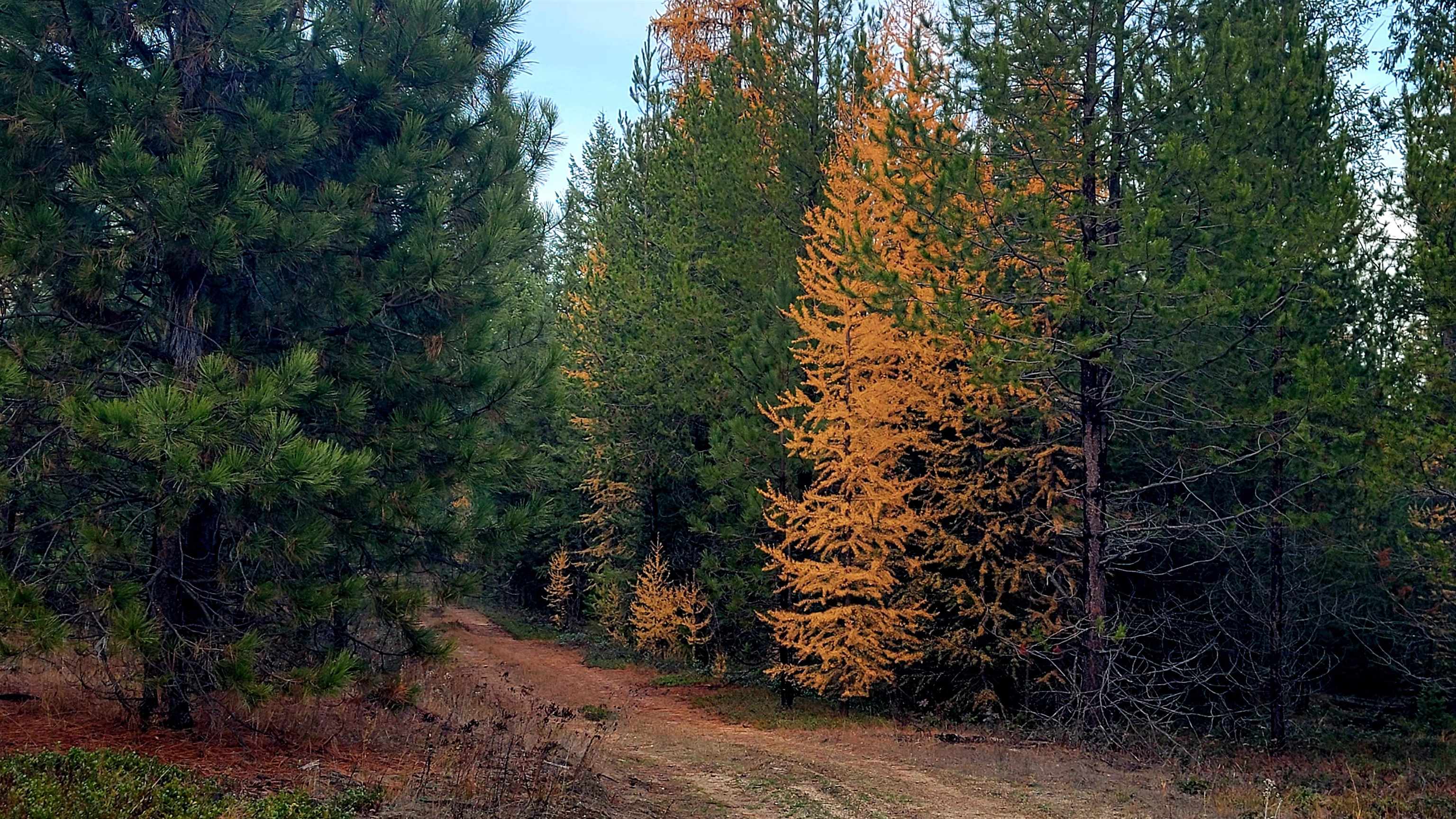 NKN Northshore Diamond Lake Rd - Photo 3