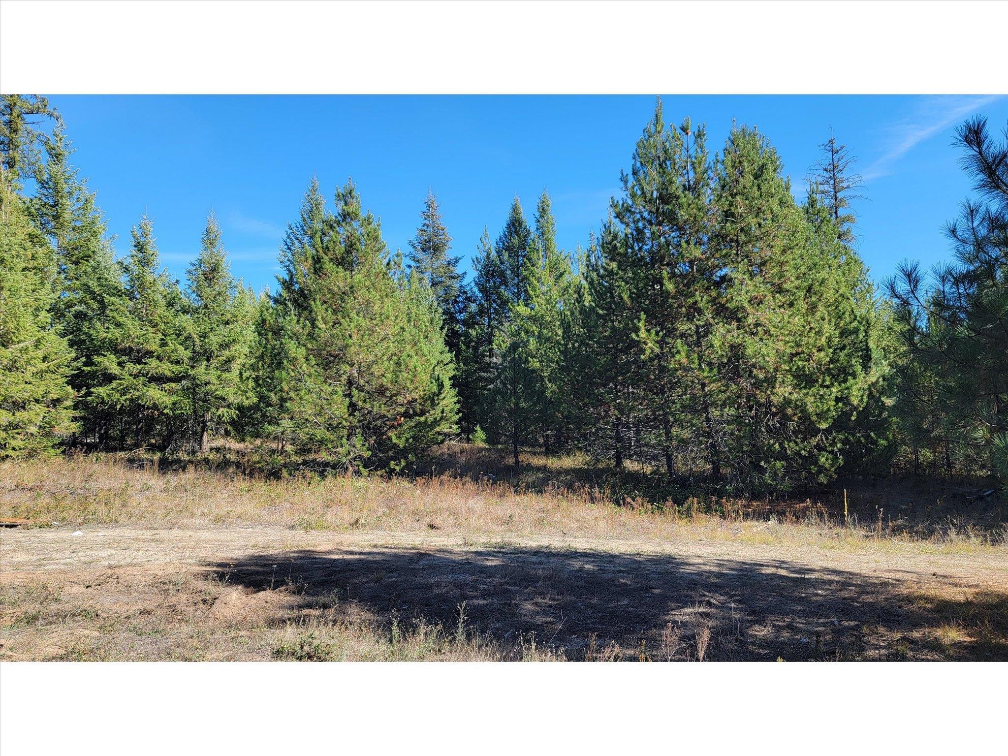NKN Northshore Diamond Lake Rd - Photo 21