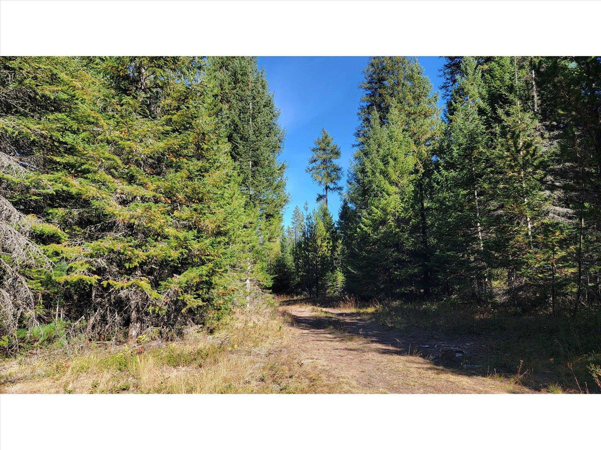 NKN Northshore Diamond Lake Rd - Photo 22