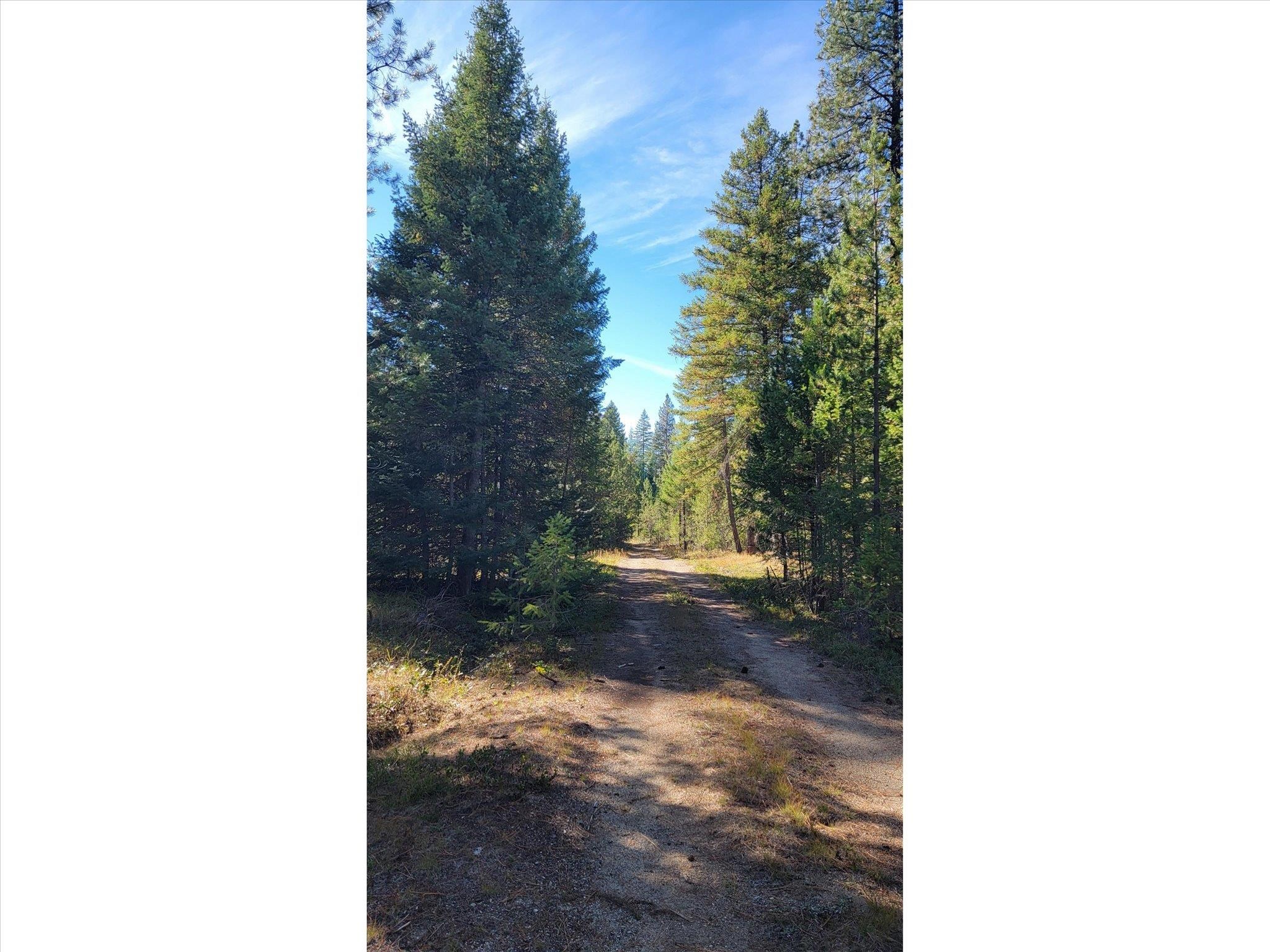 NKN Northshore Diamond Lake Rd - Photo 23