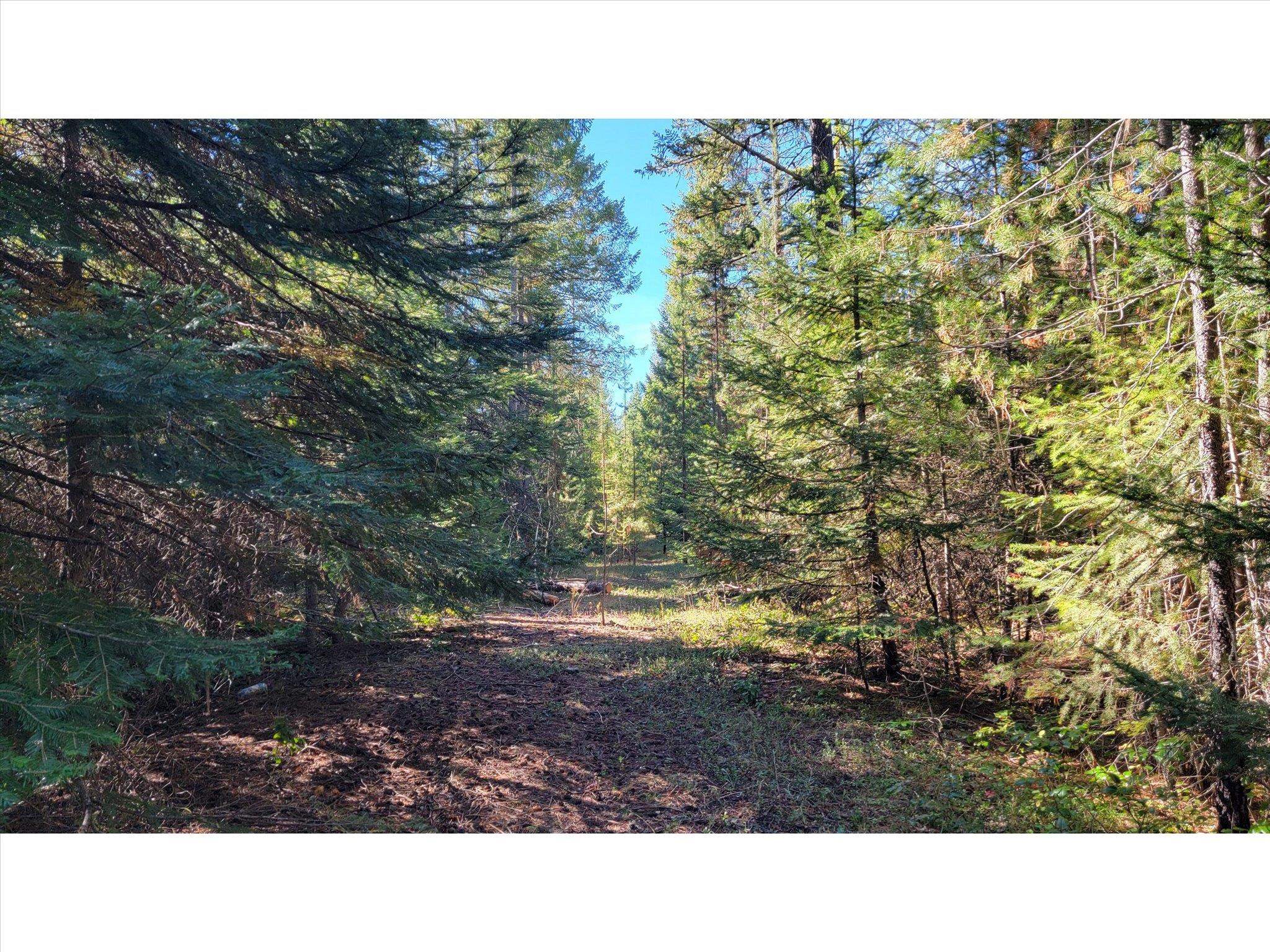 NKN Northshore Diamond Lake Rd - Photo 24