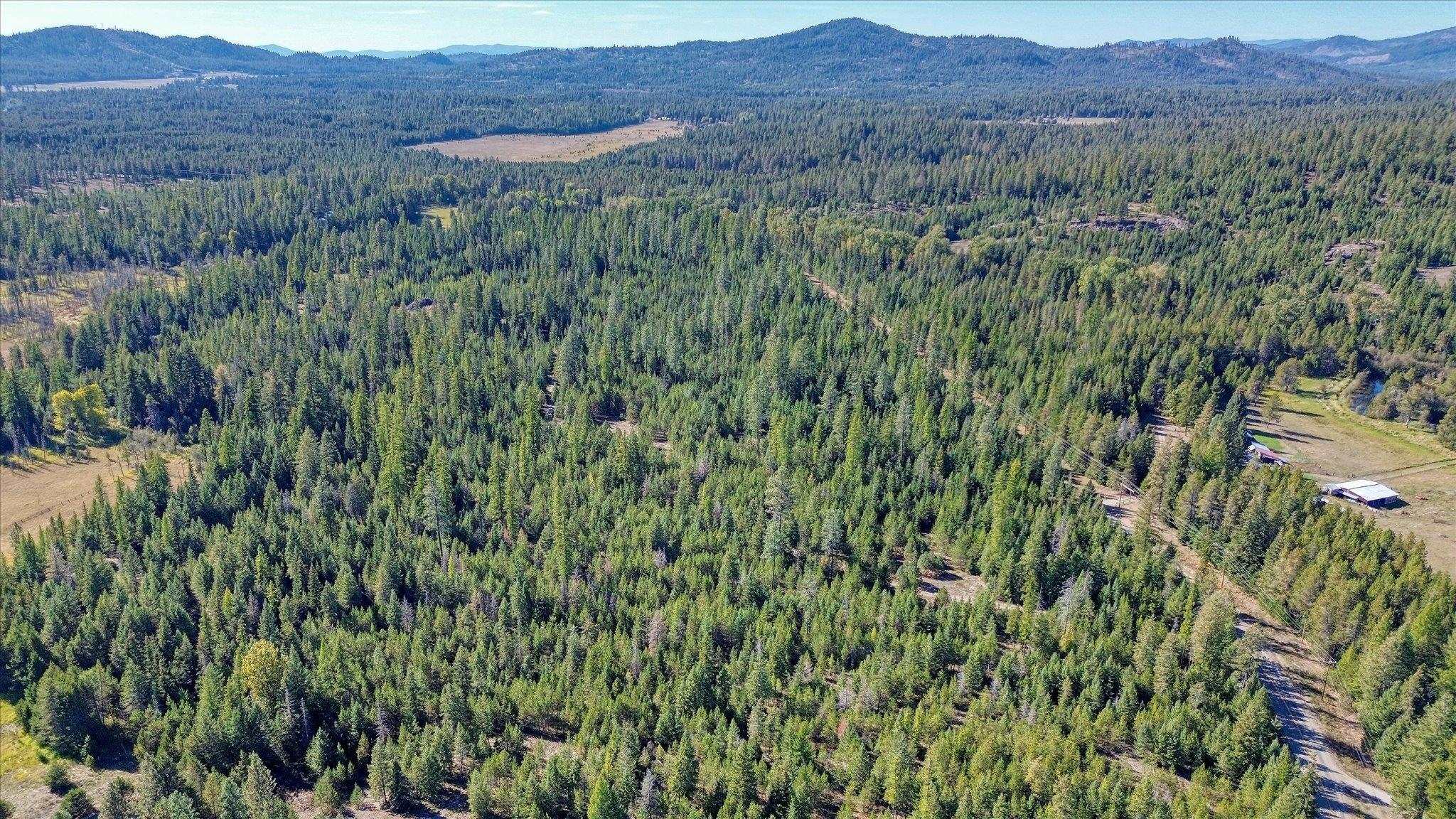 NKN Northshore Diamond Lake Rd - Photo 32