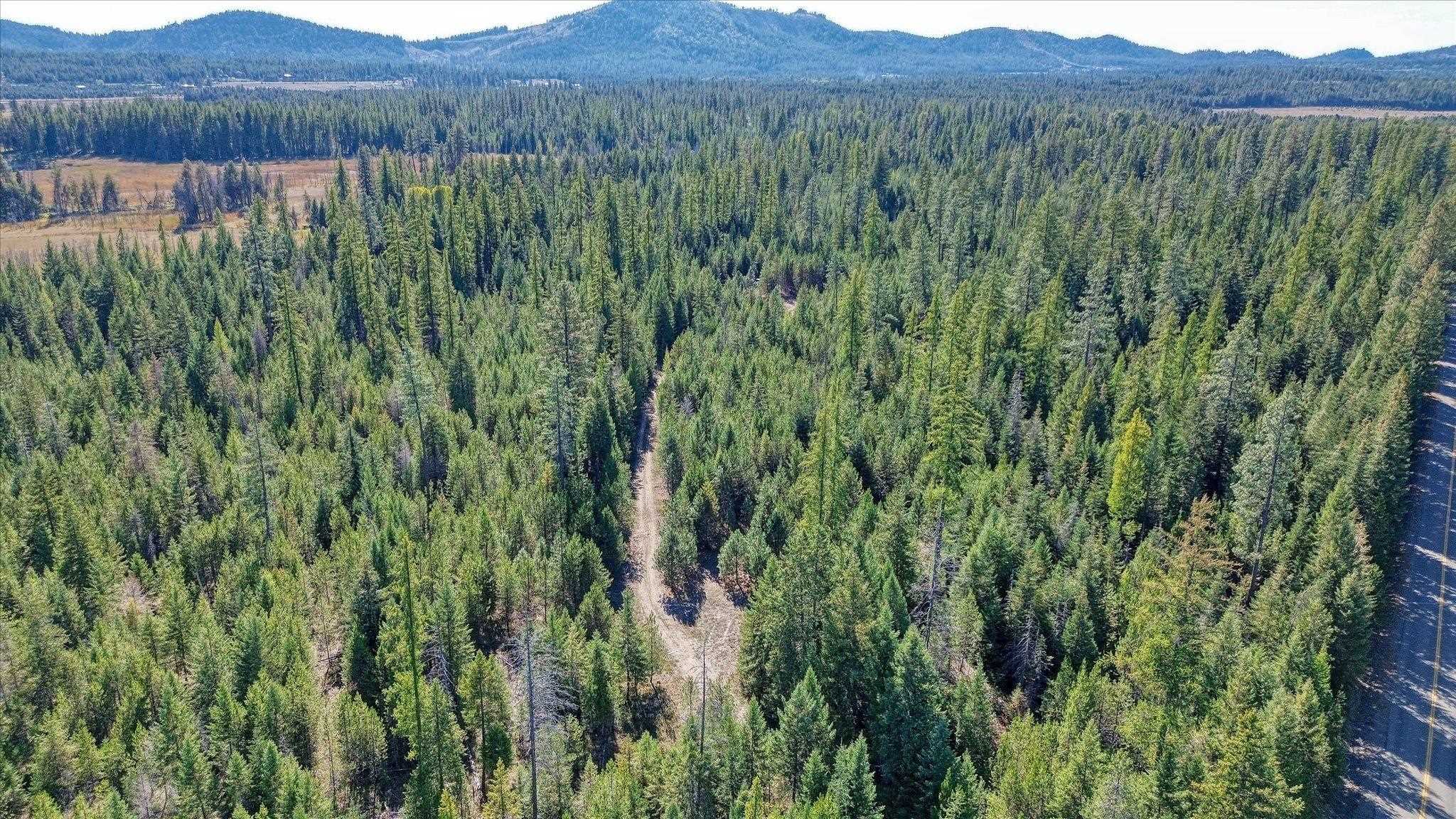 NKN Northshore Diamond Lake Rd - Photo 34