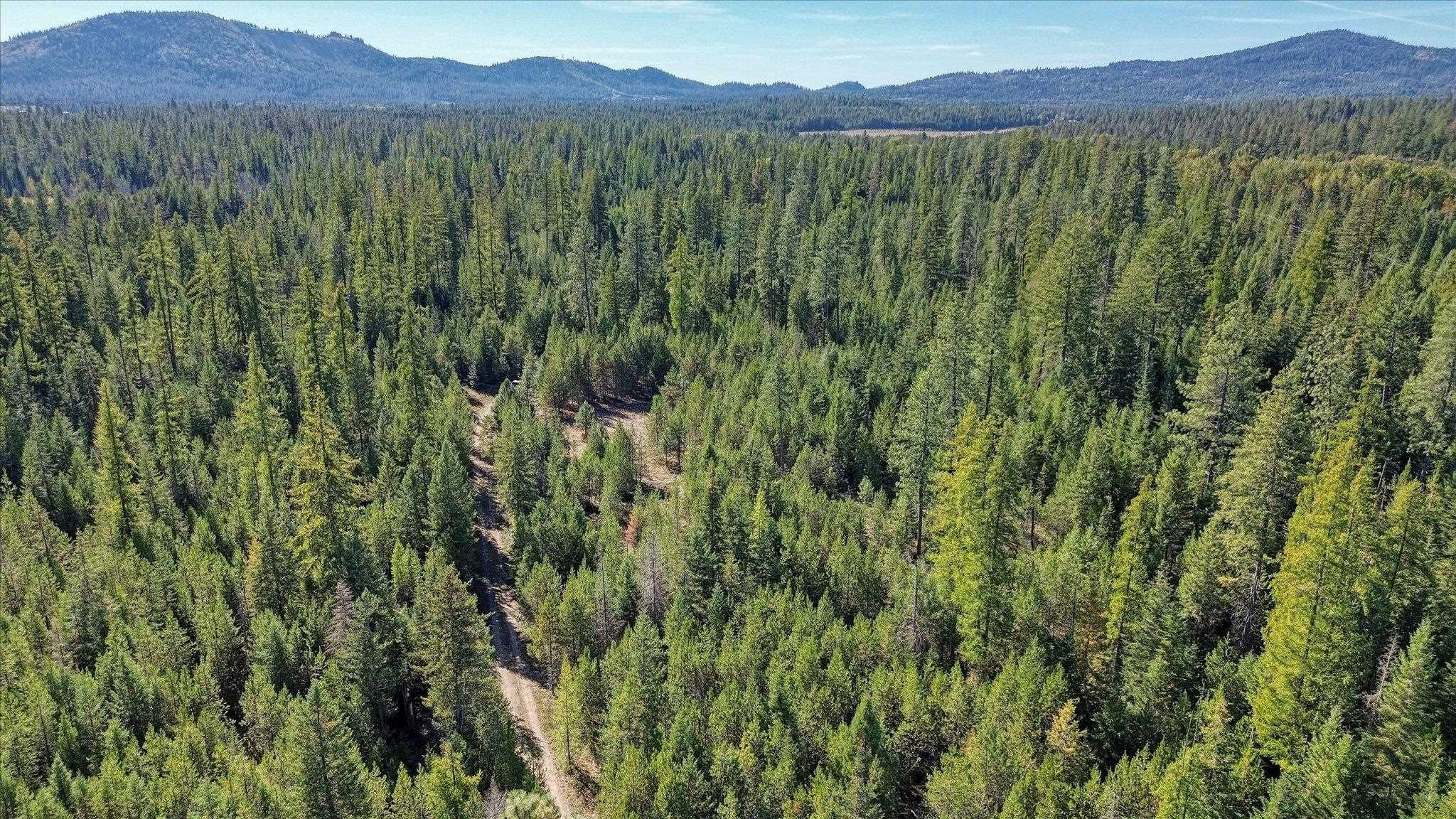 NKN Northshore Diamond Lake Rd - Photo 35