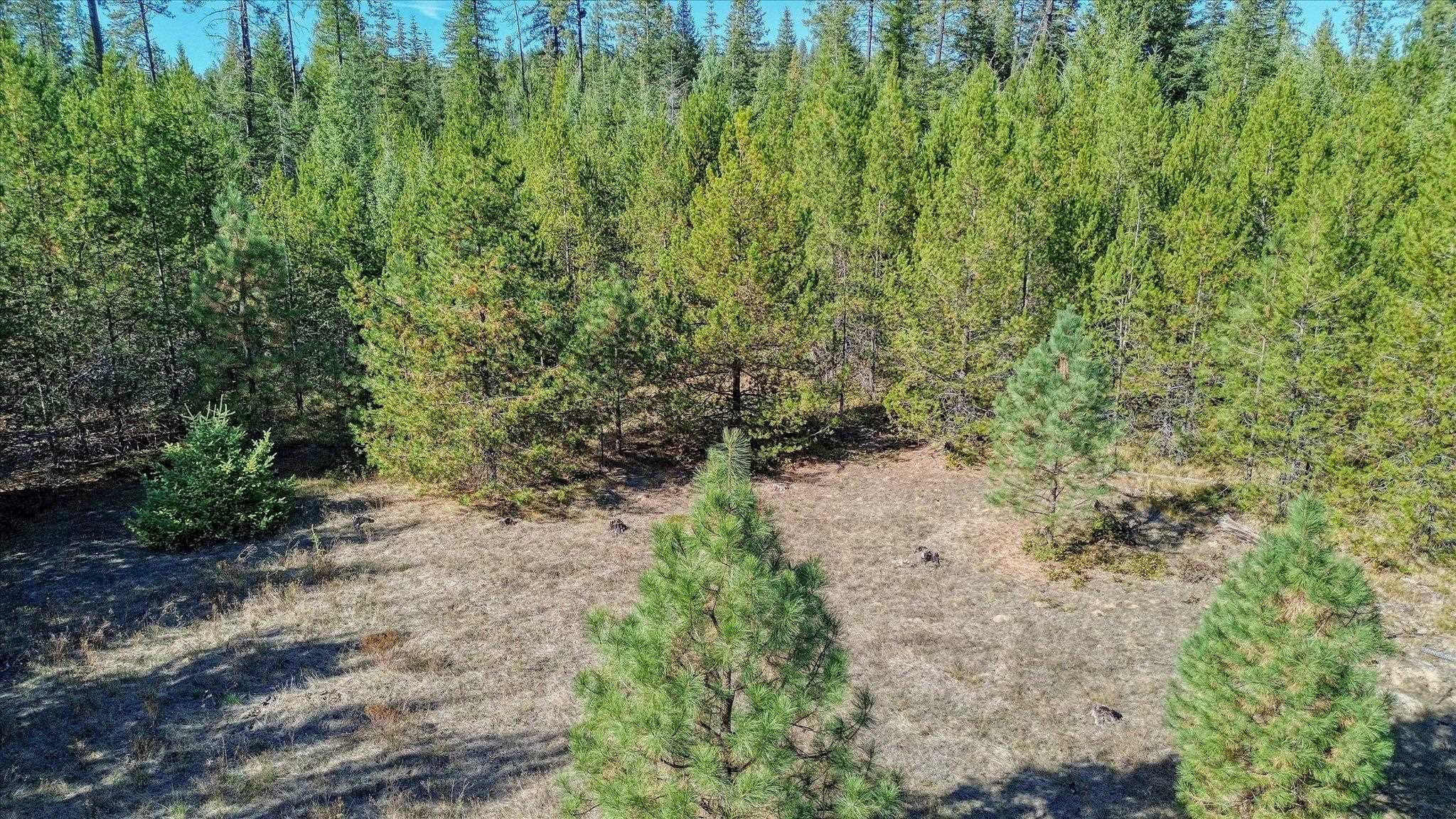 NKN Northshore Diamond Lake Rd - Photo 36
