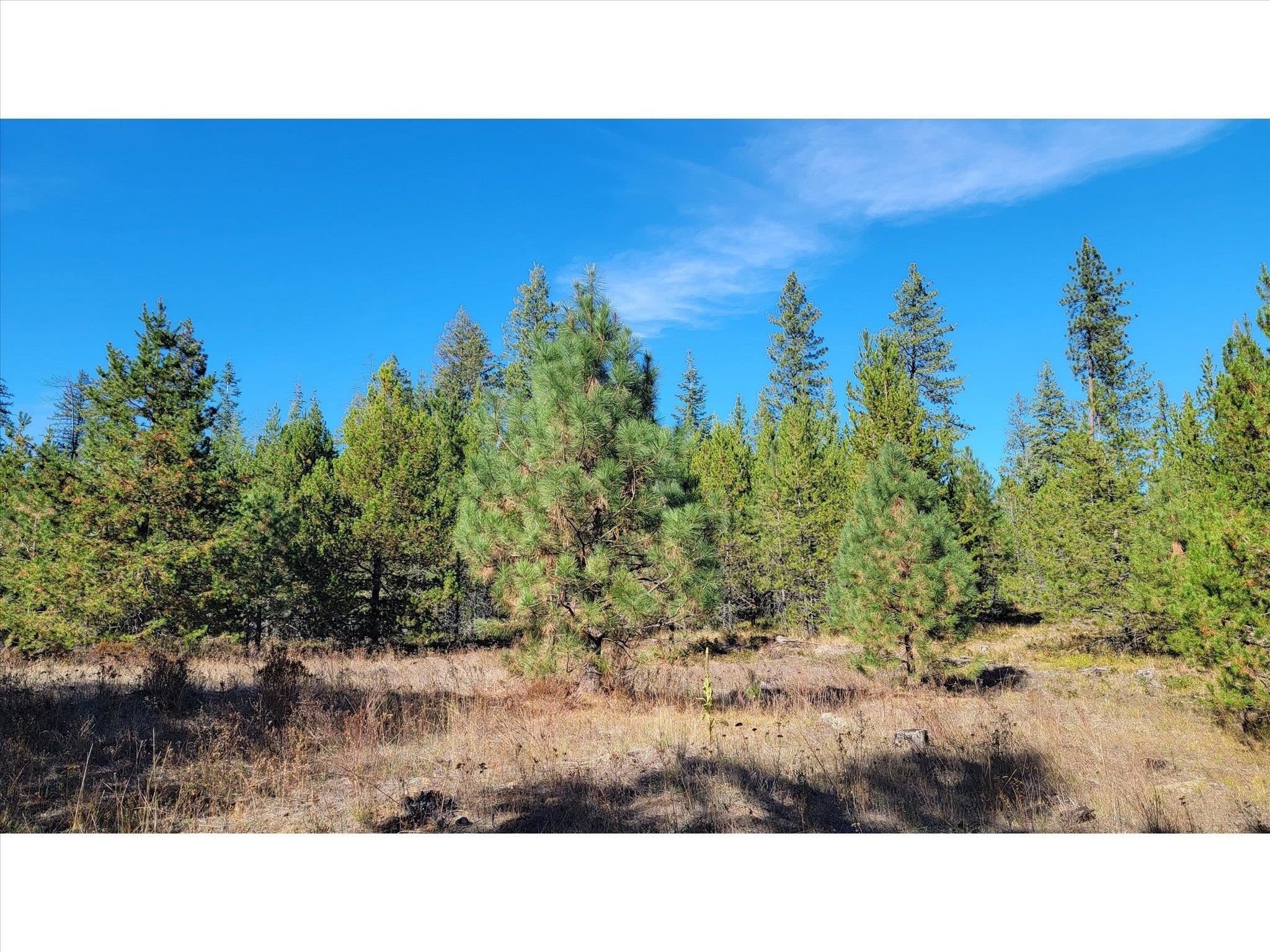 NKN Northshore Diamond Lake Rd - Photo 37