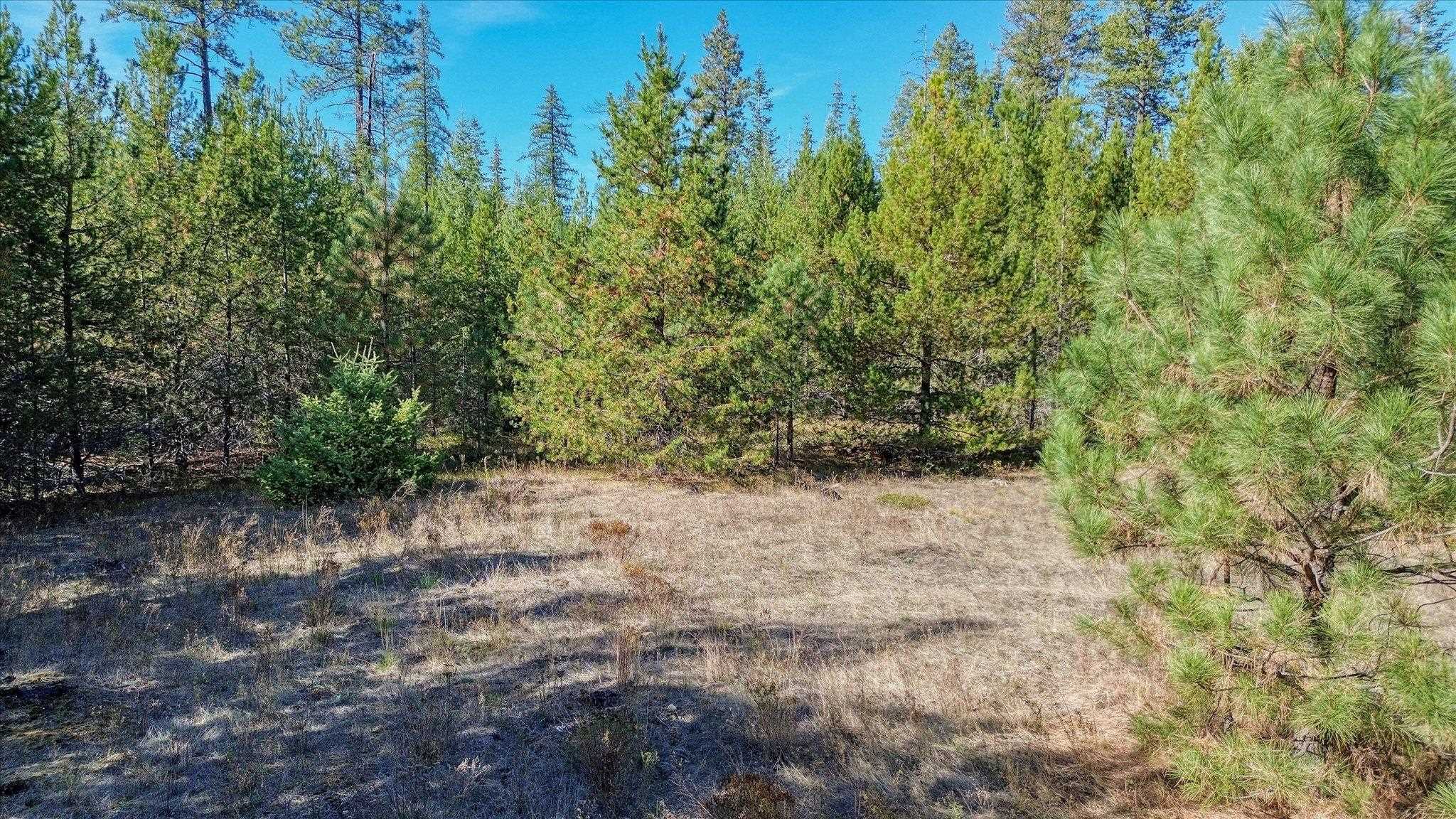 NKN Northshore Diamond Lake Rd - Photo 38