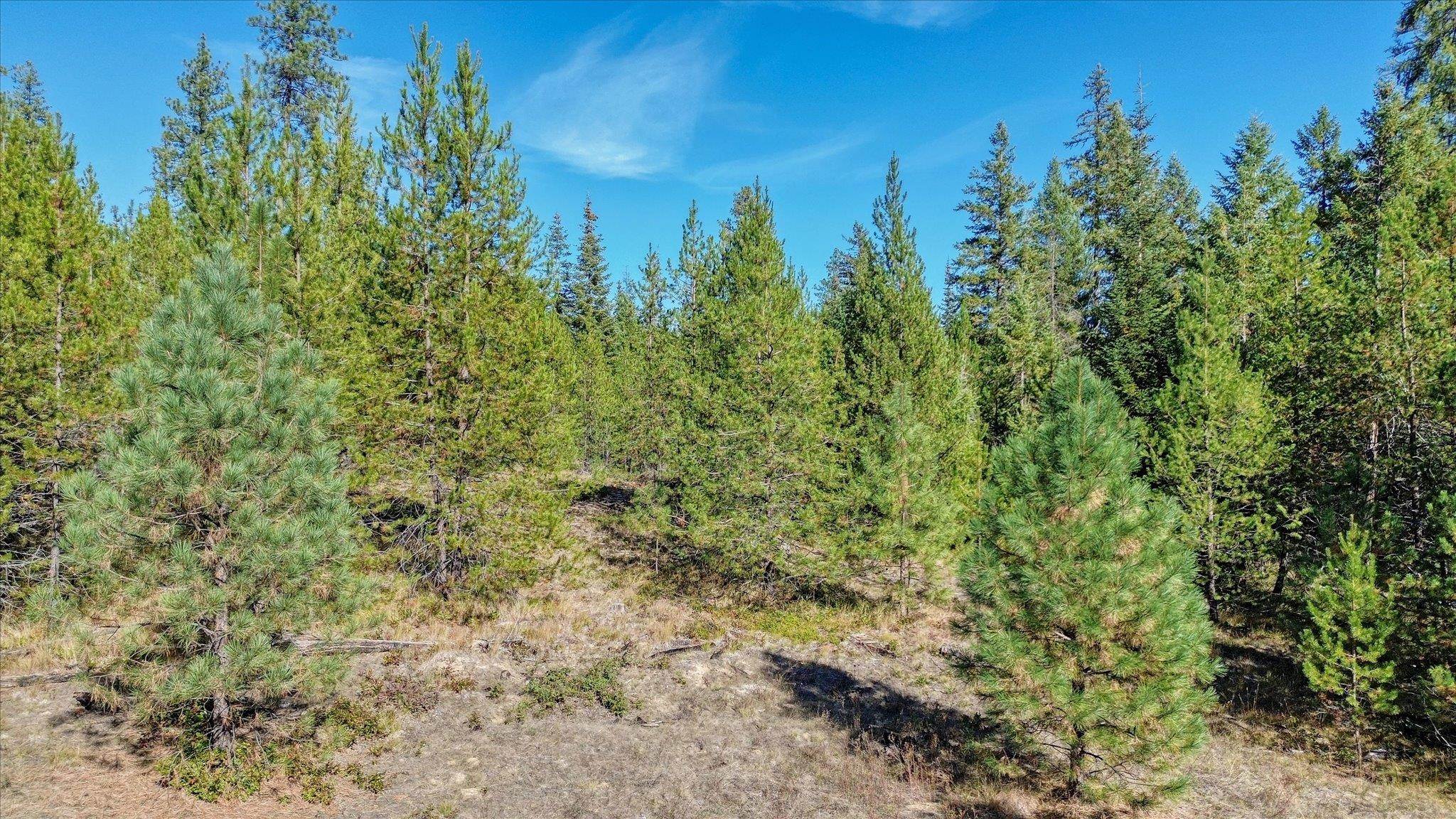 NKN Northshore Diamond Lake Rd - Photo 39