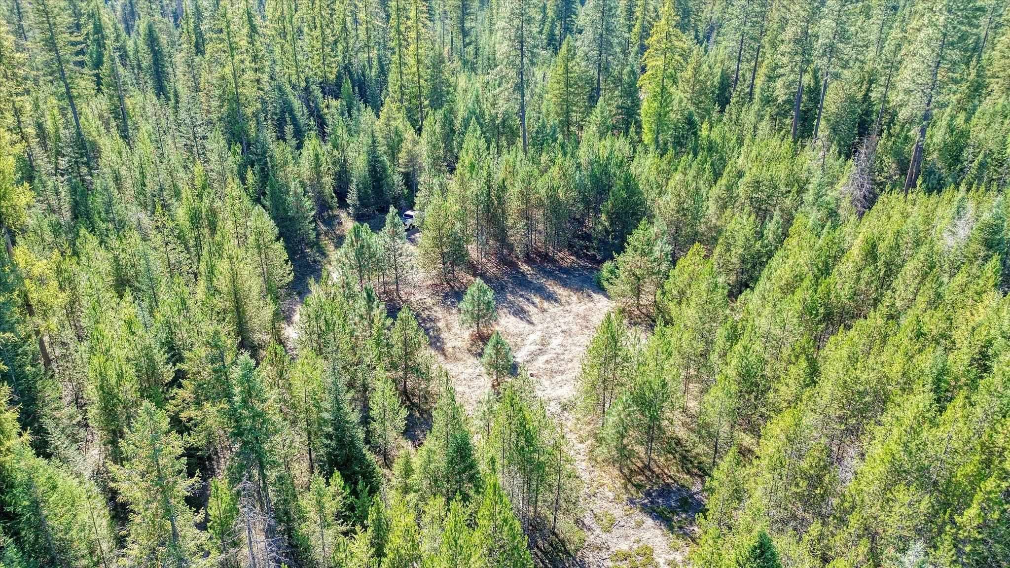 NKN Northshore Diamond Lake Rd - Photo 40